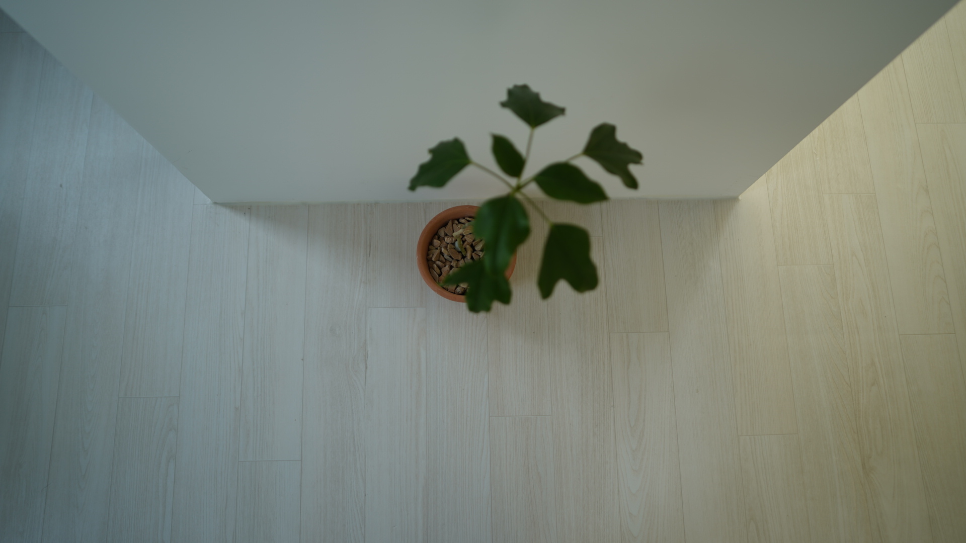 노루물요가 대표 이미지