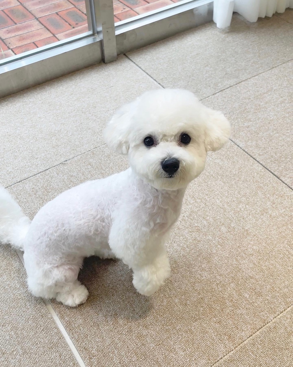 다듬 대표 이미지