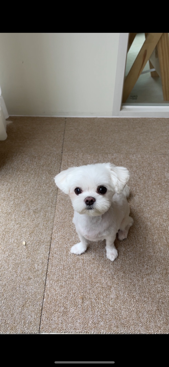 다듬 대표 이미지