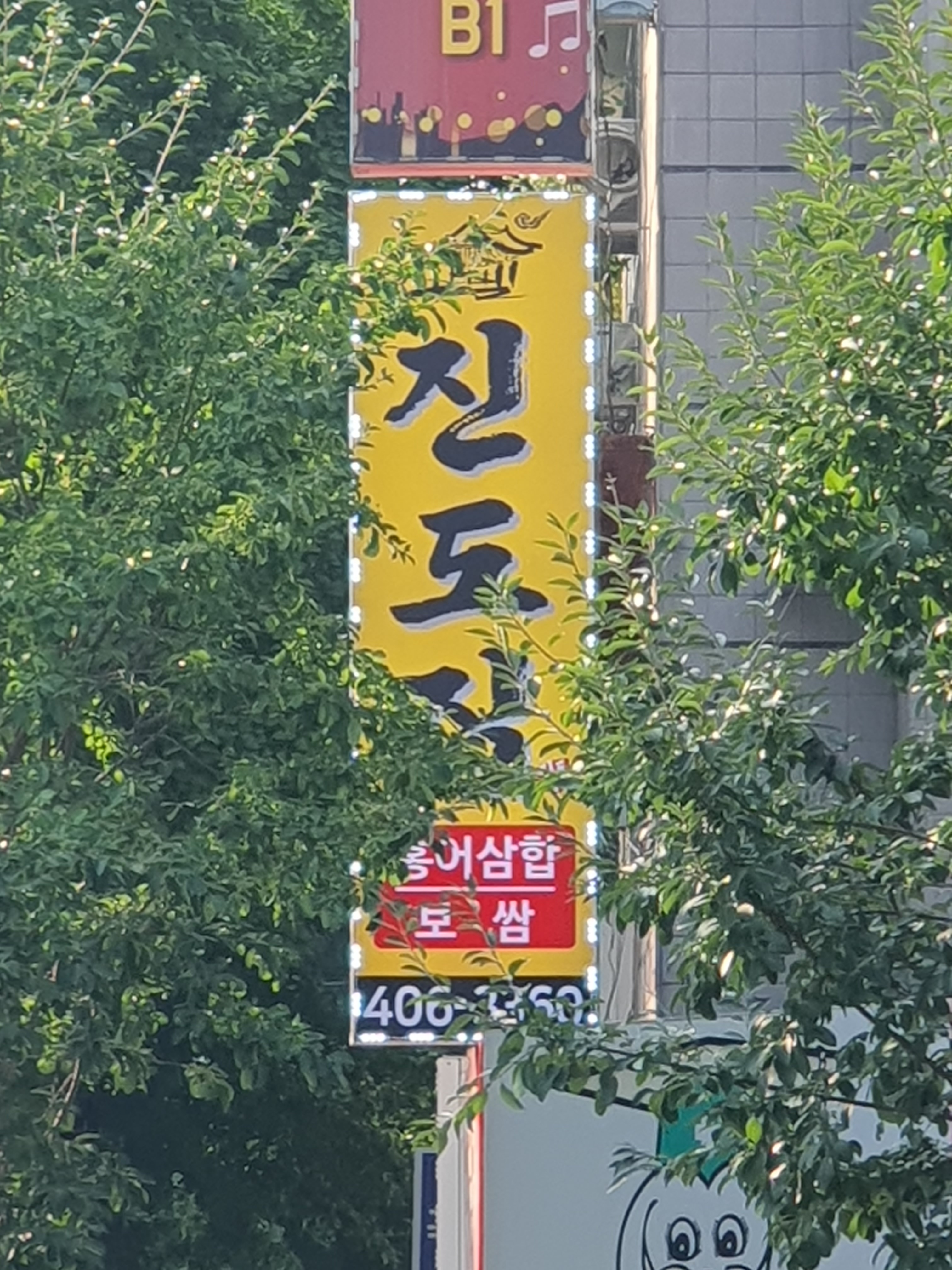 진도집