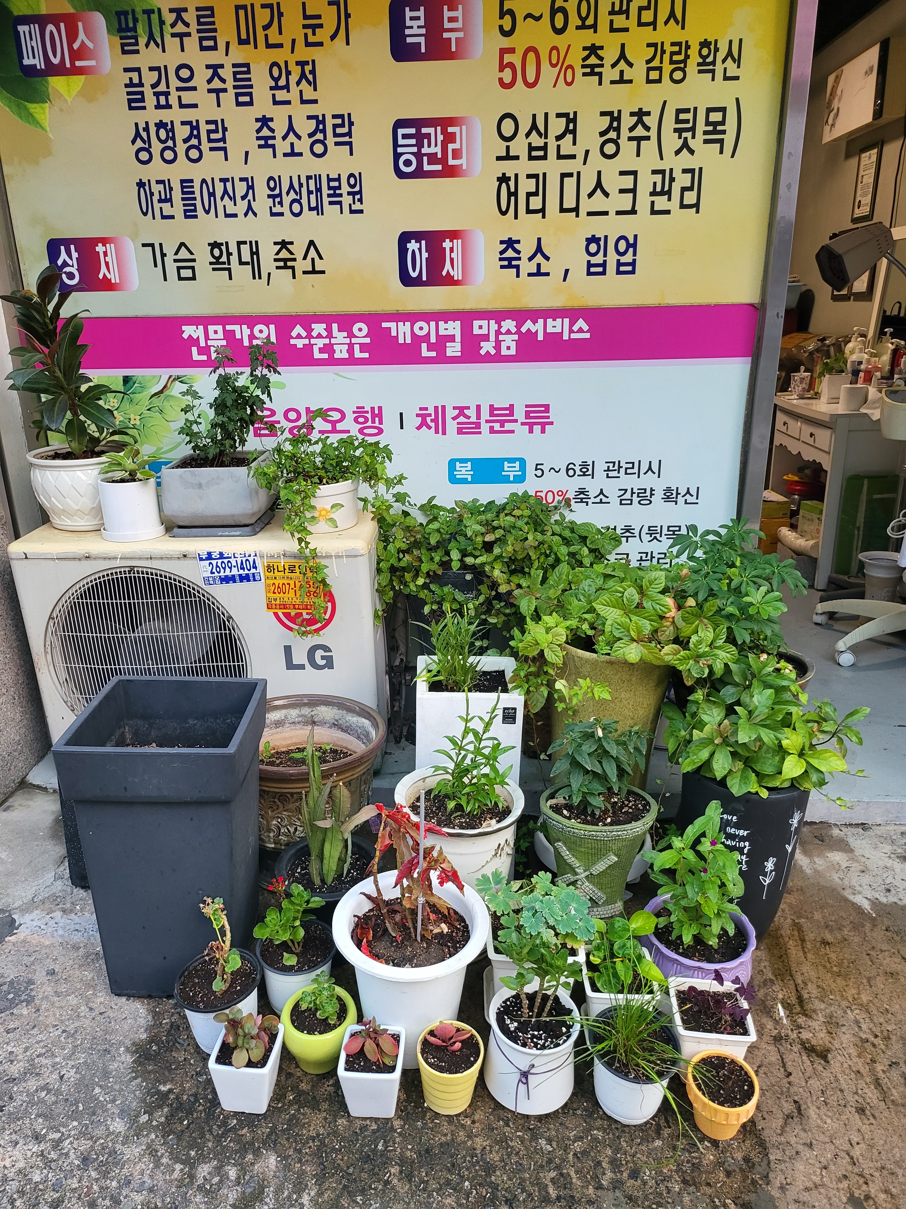 채지희피부경락 photo 2