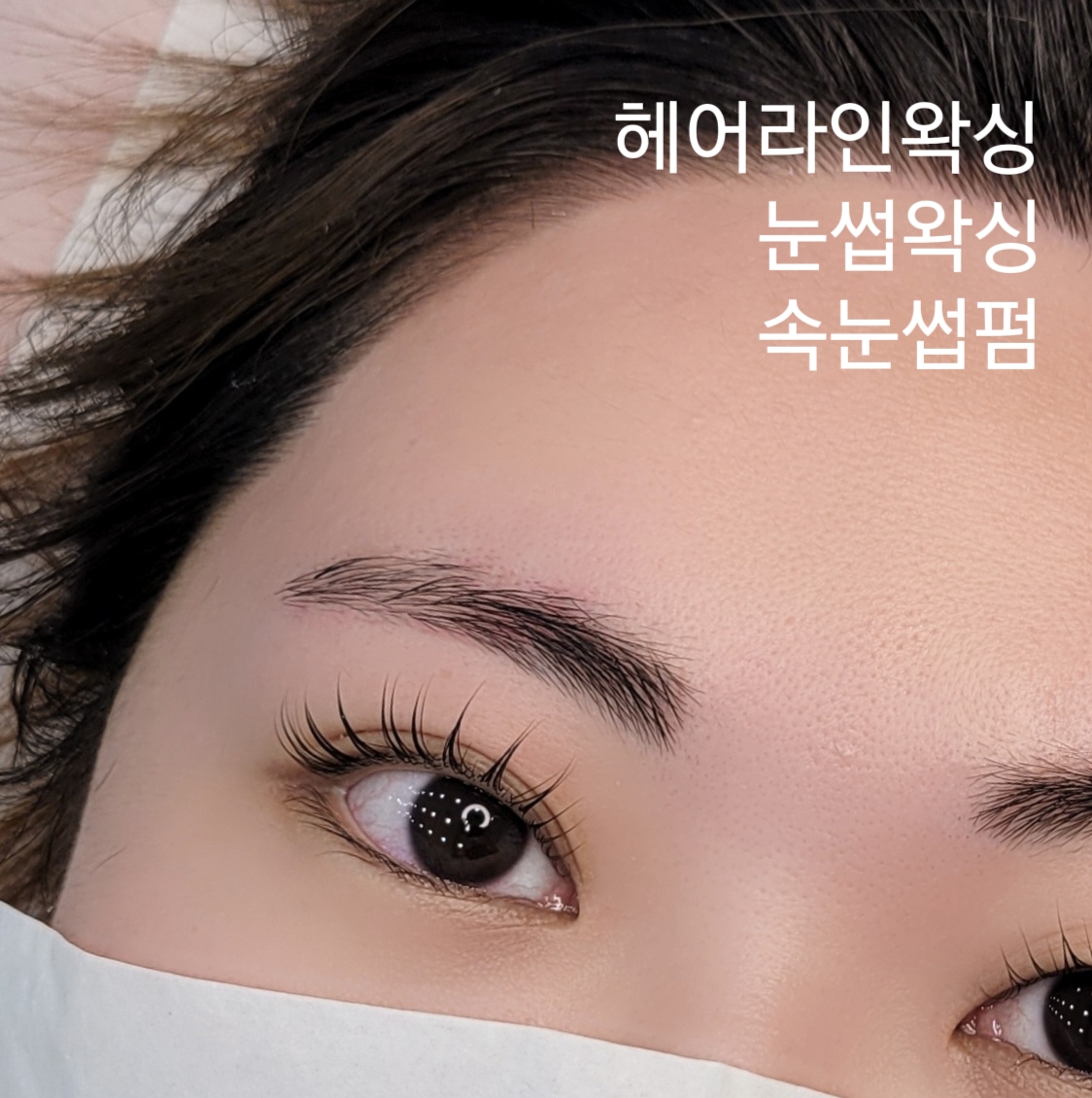 모든브로우