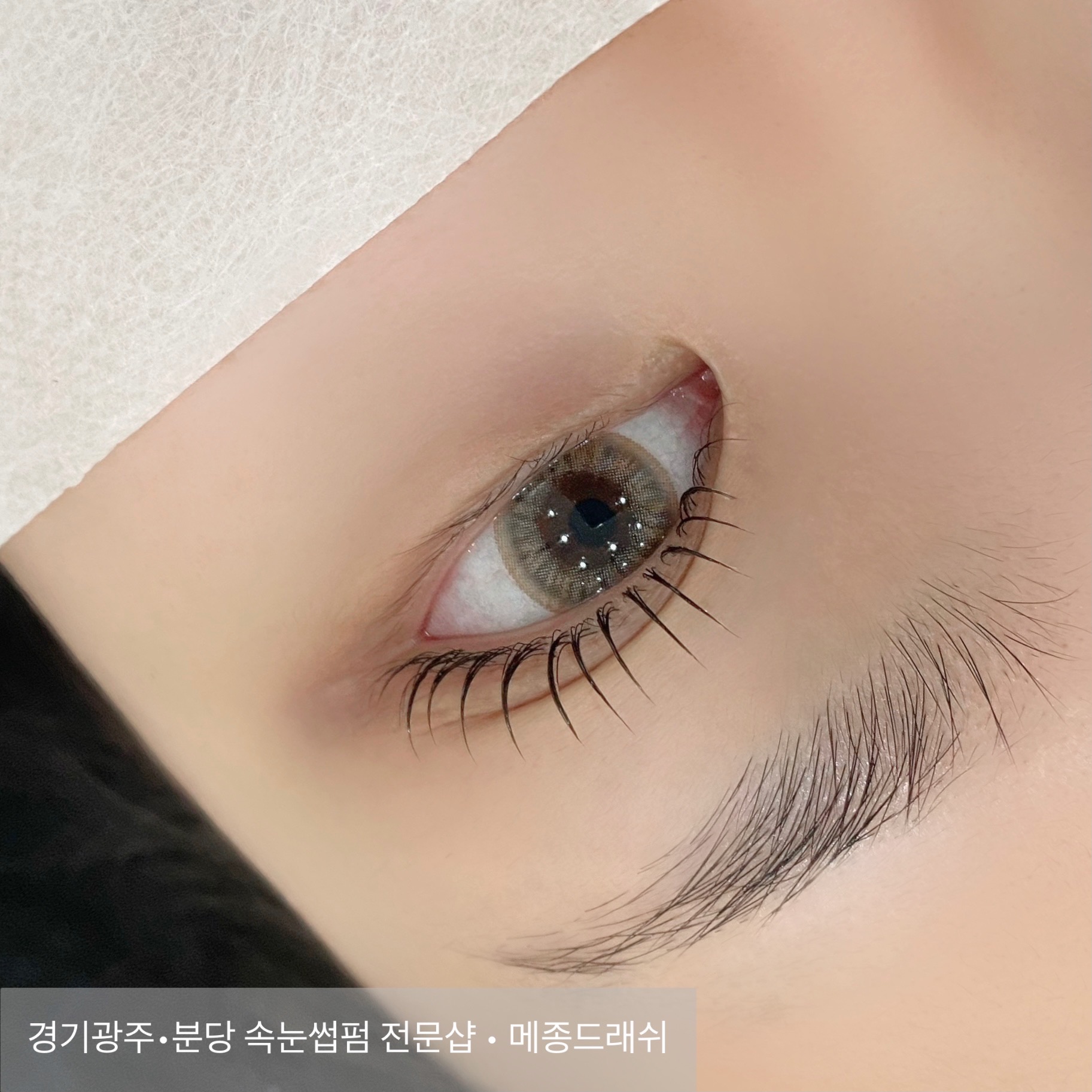 메종드래쉬