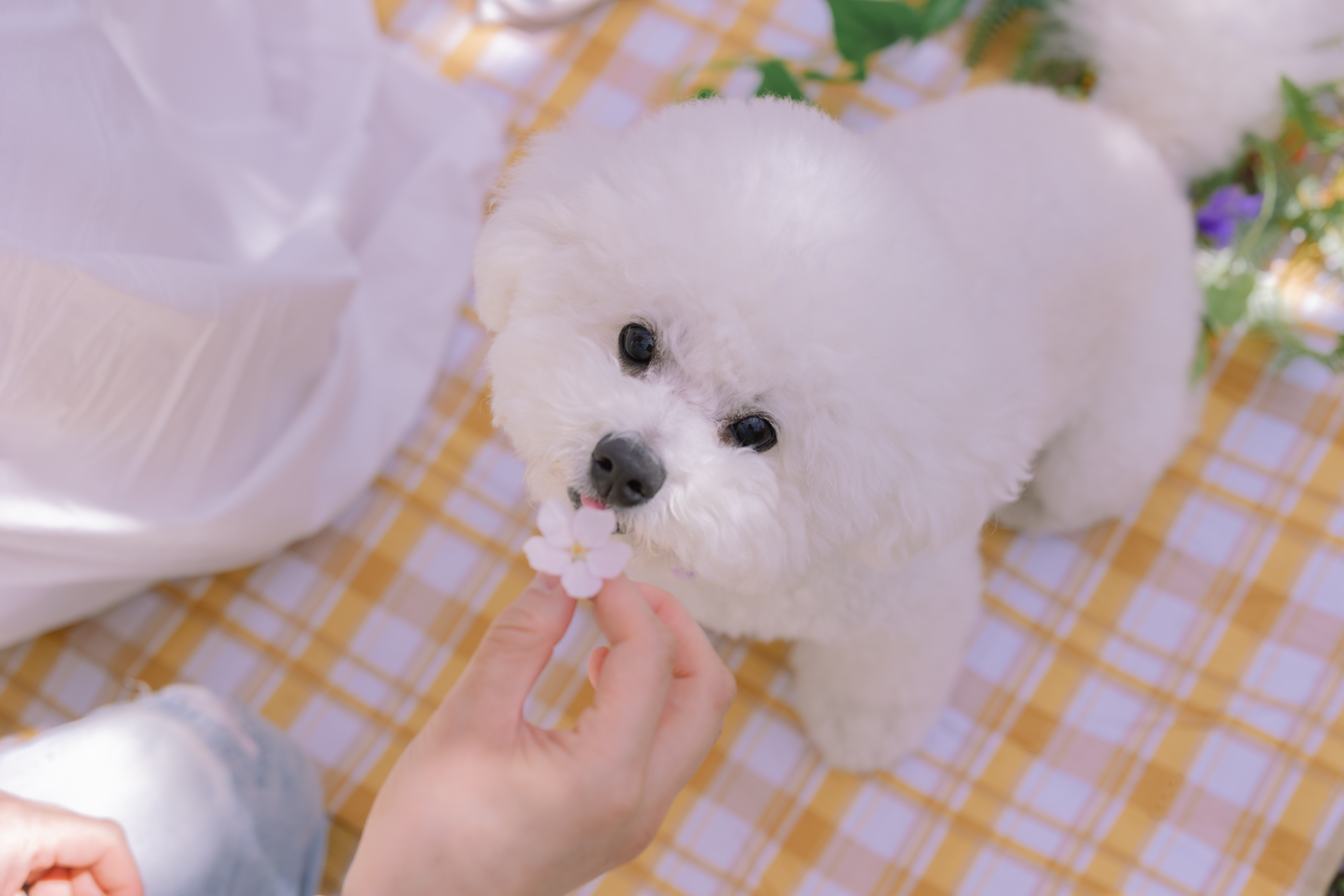 산책간다고했잖아요 5