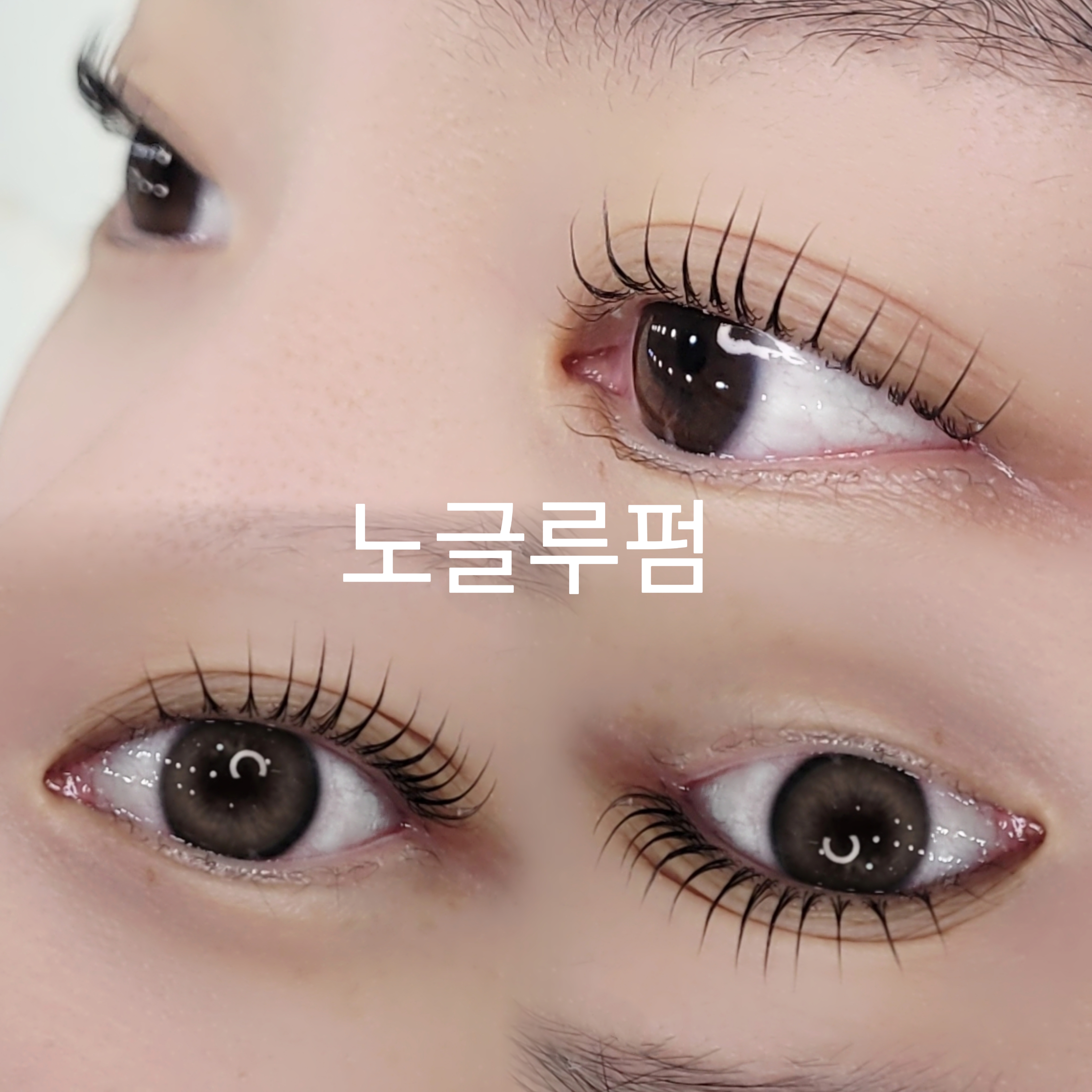 모든브로우