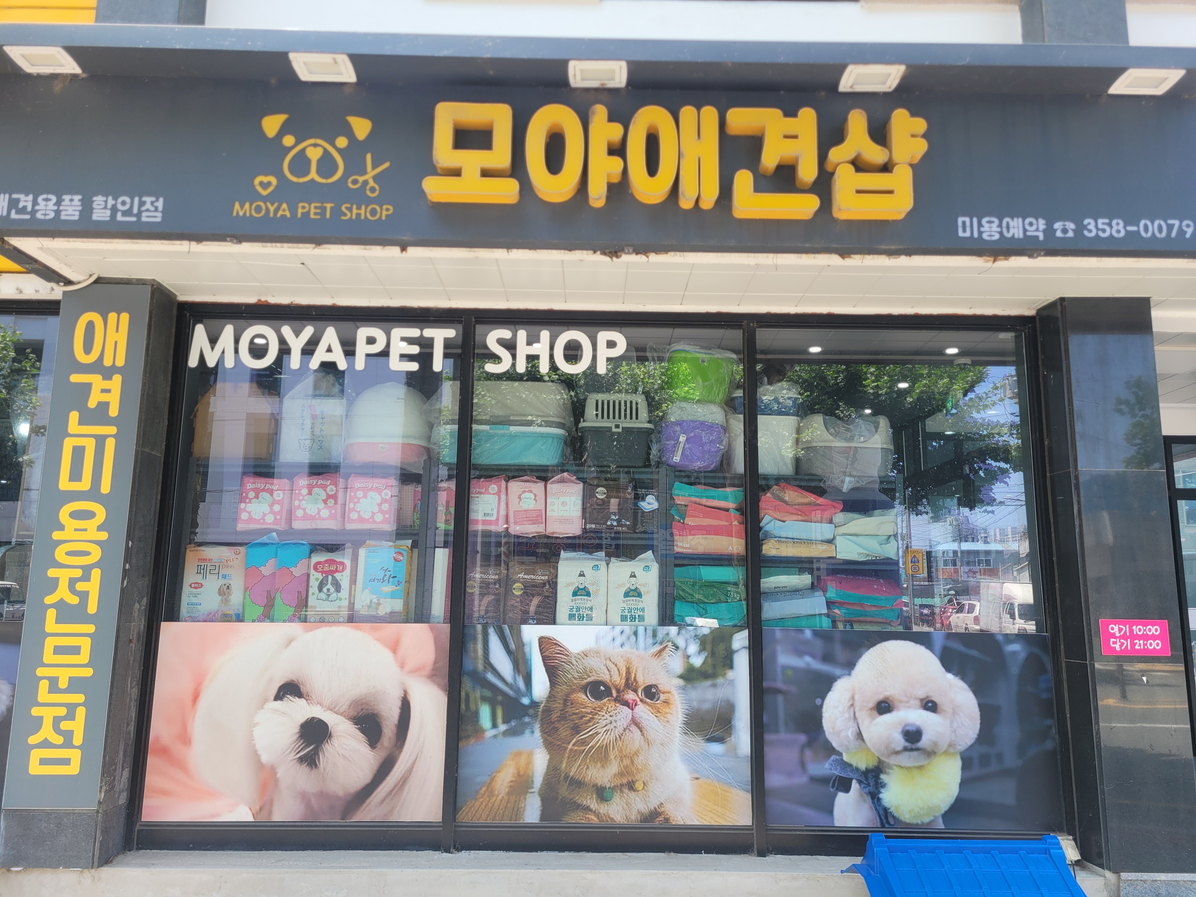 모야애견 대표 이미지