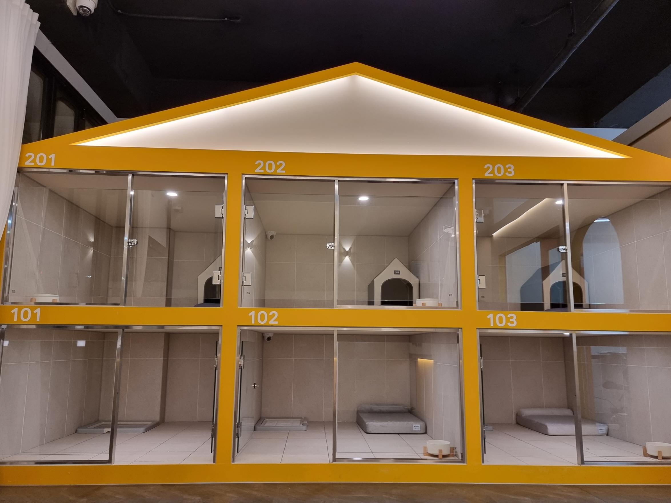 웃는강아지 대표 이미지