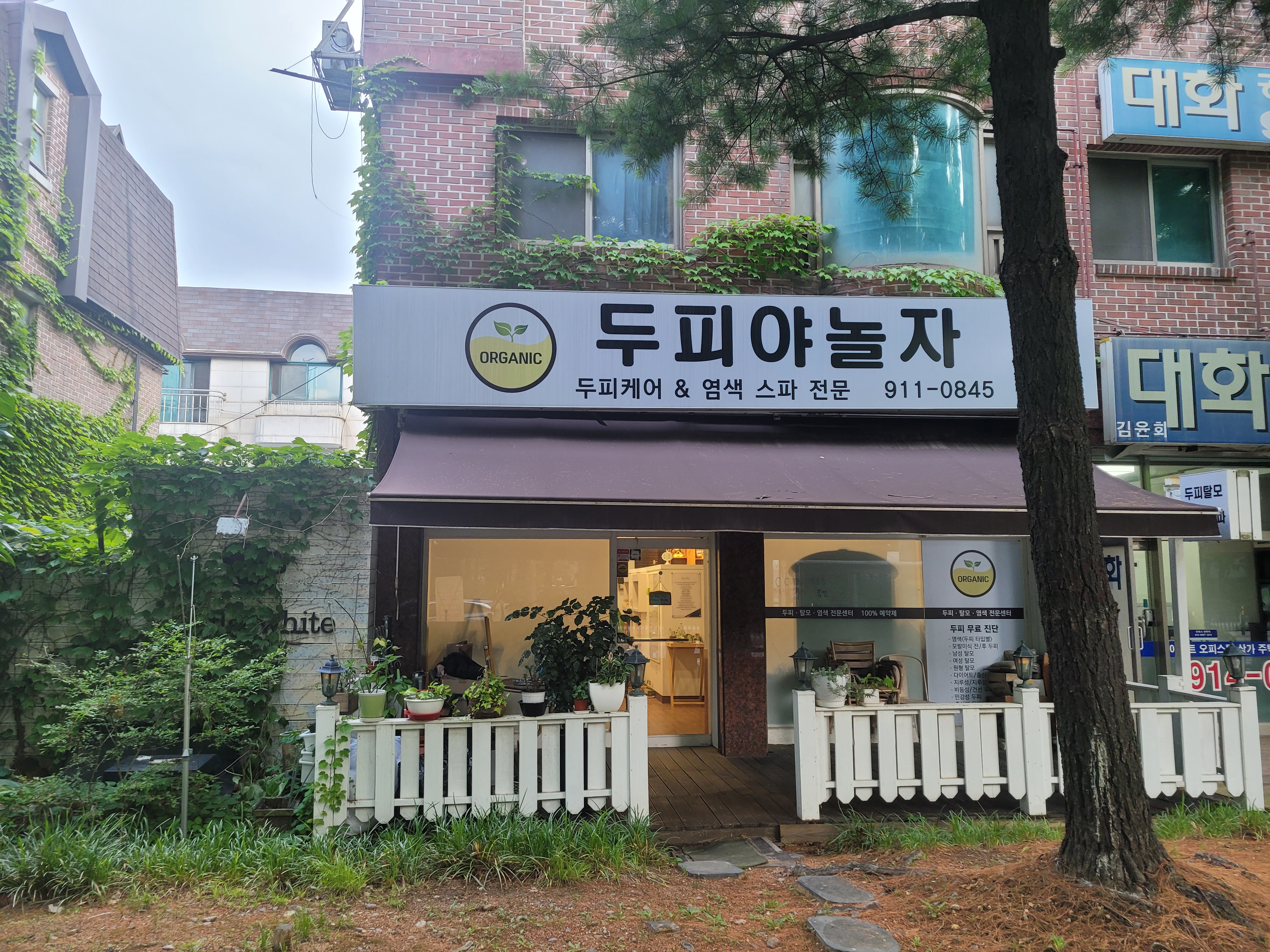 두피야 놀자