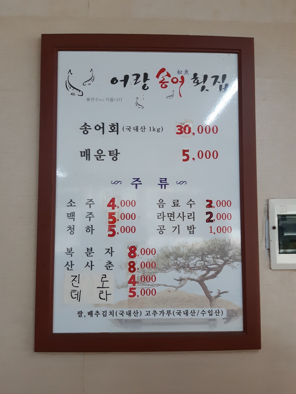 어랑송어횟집