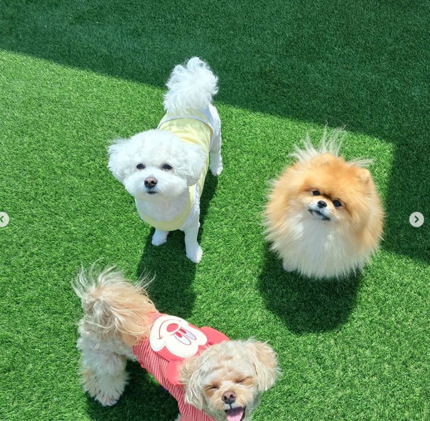 킁킁멍멍