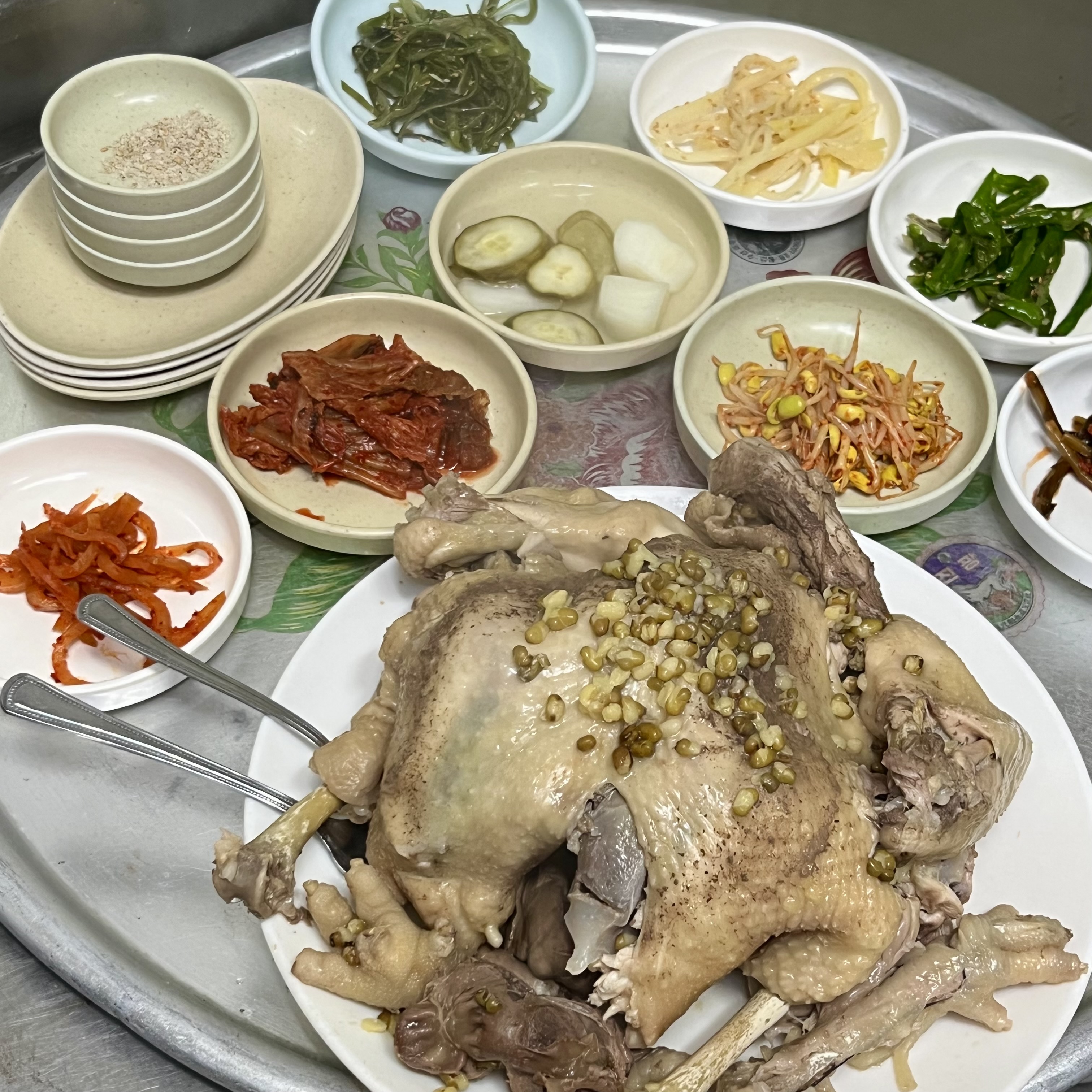 거목정 반려동물 동반 애견카페