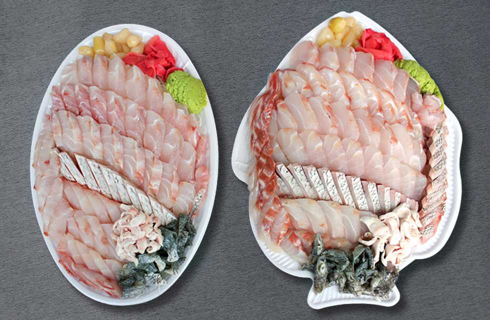 거북이네