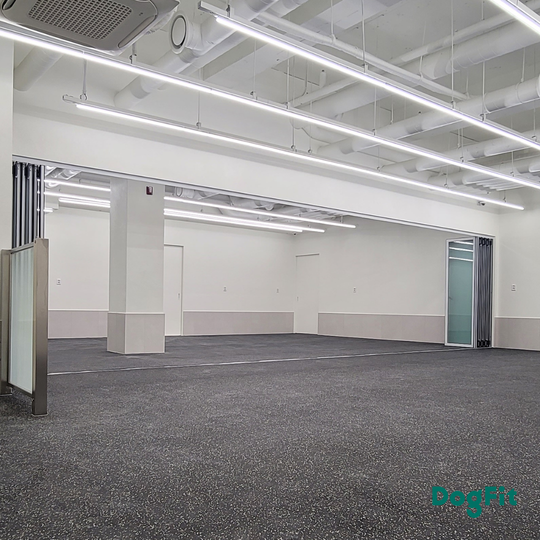 독핏 웰니스센터 대표 이미지