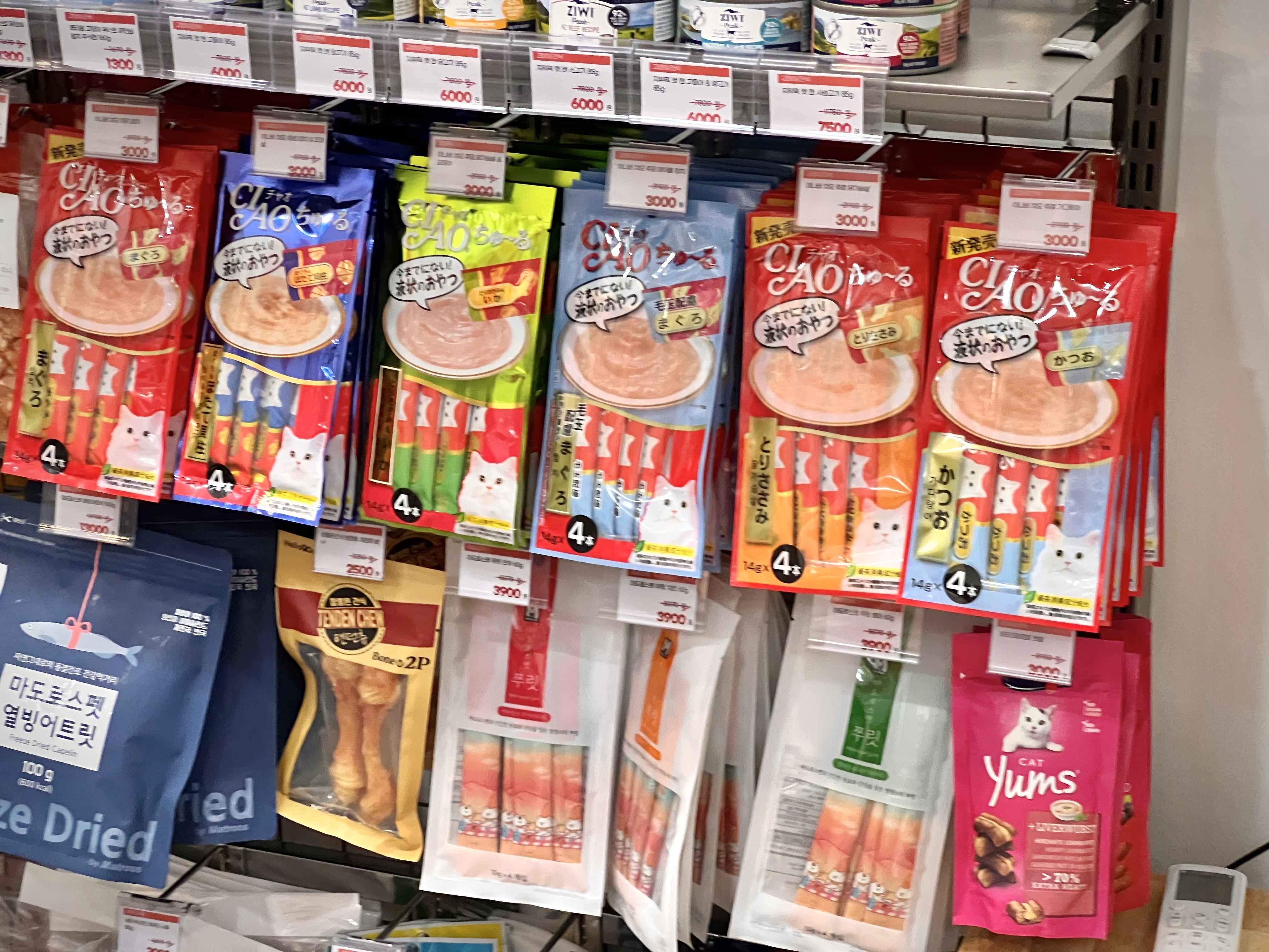 멍냥클럽 대표 이미지