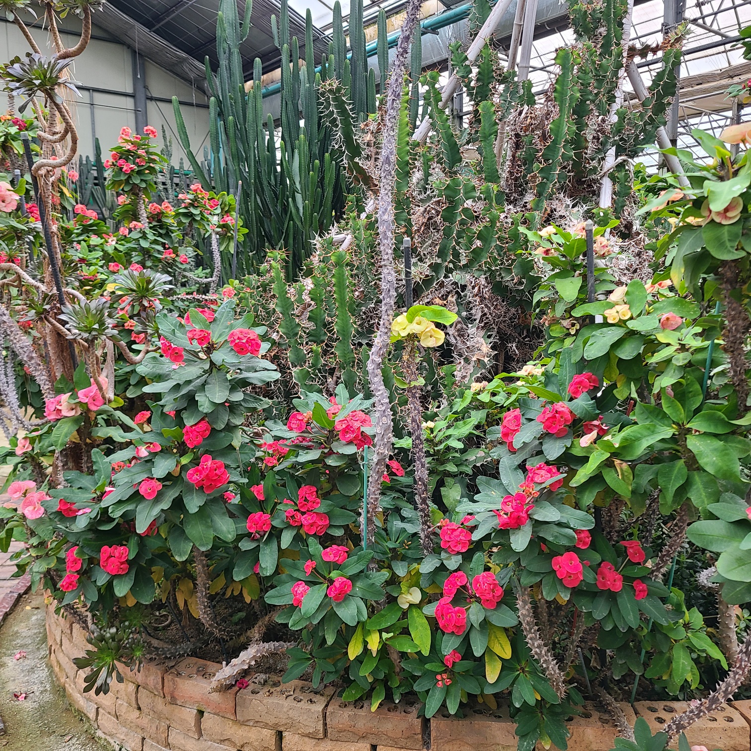 세계꽃식물원