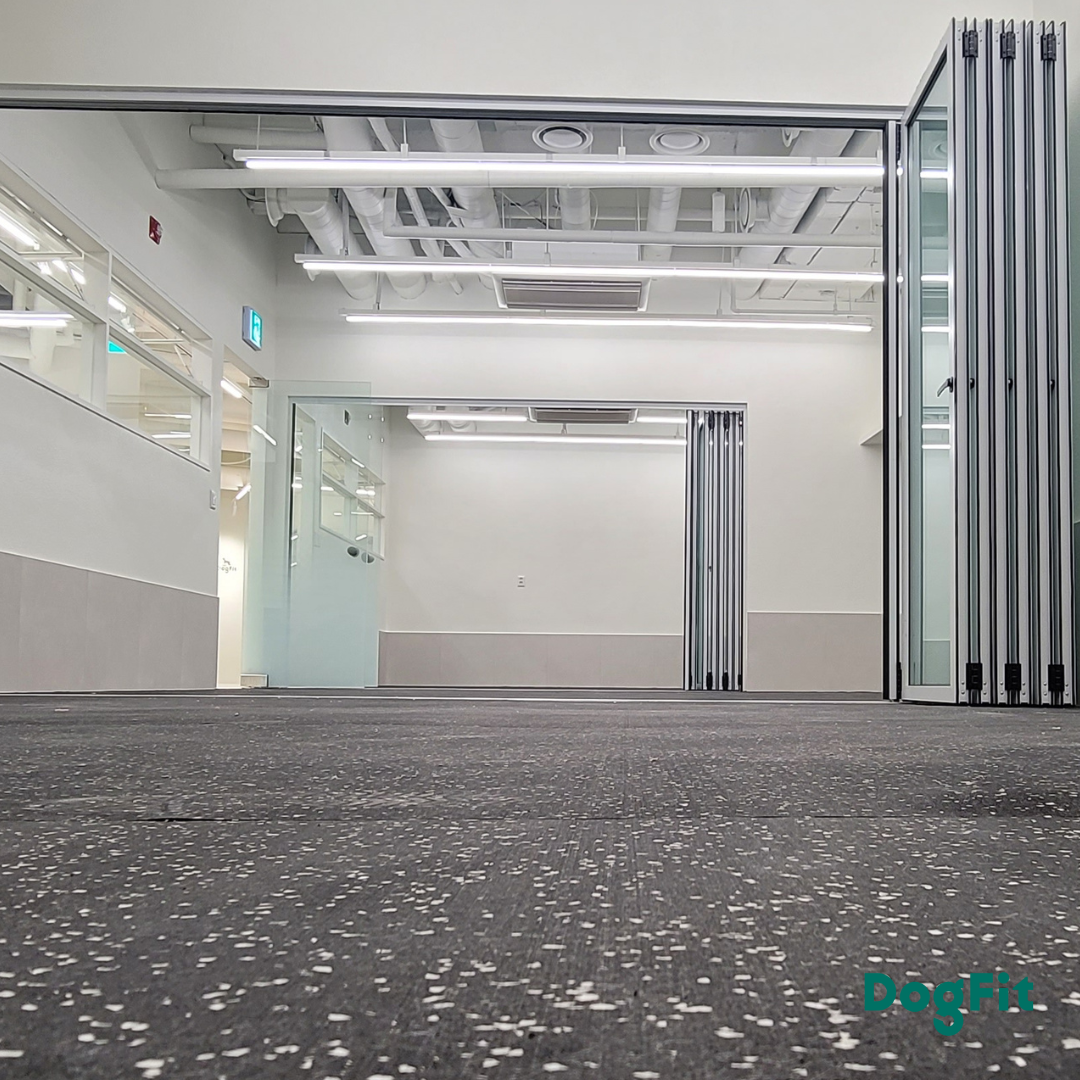 독핏 웰니스센터 대표 이미지