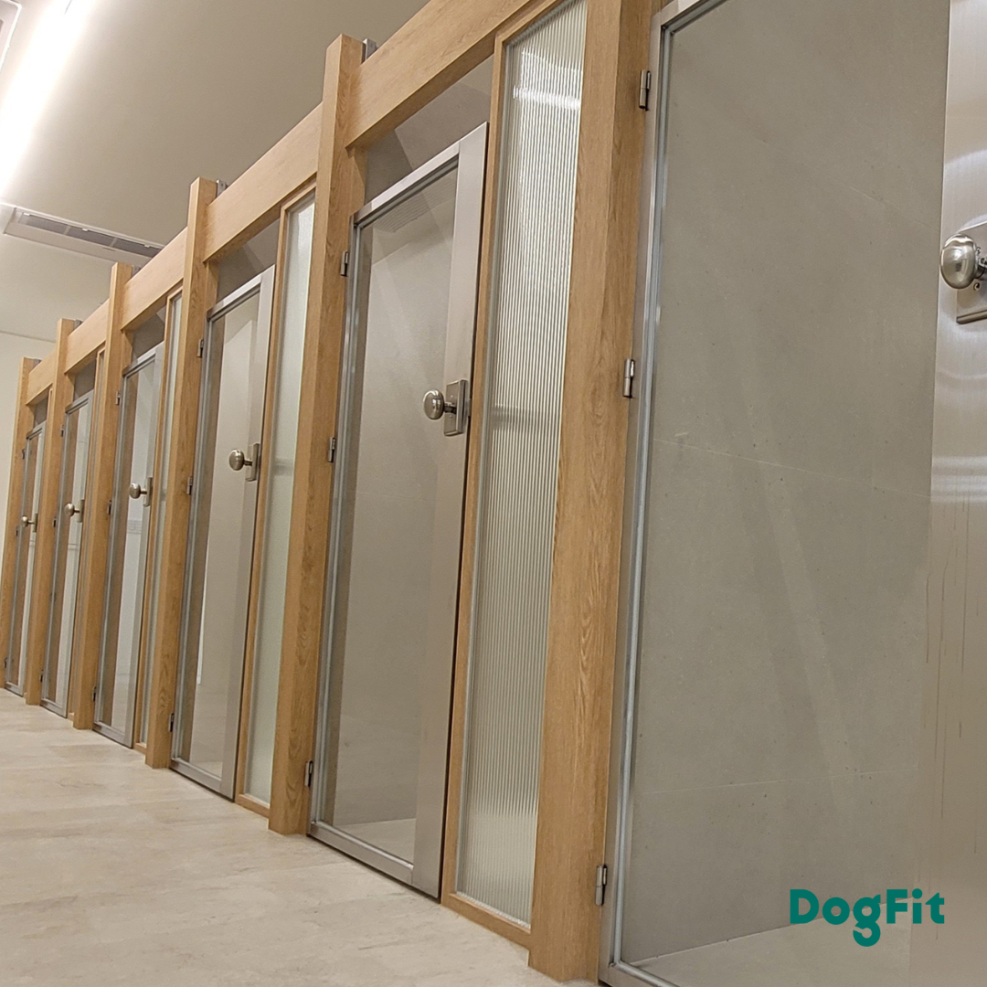 독핏 웰니스센터 대표 이미지