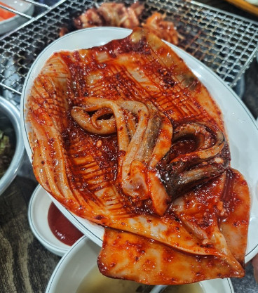 신아나고곰장어