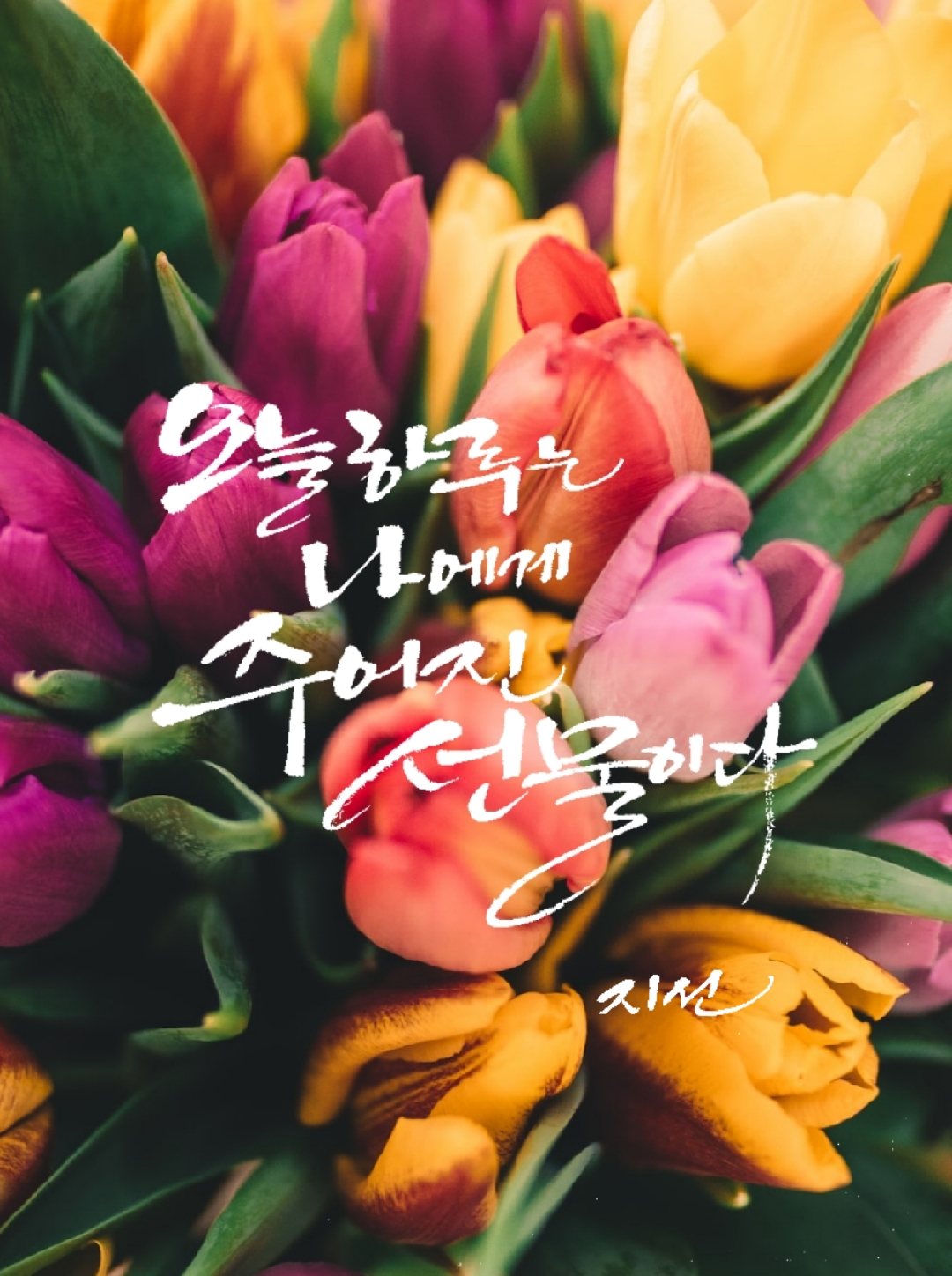지선쌤의캘리공방