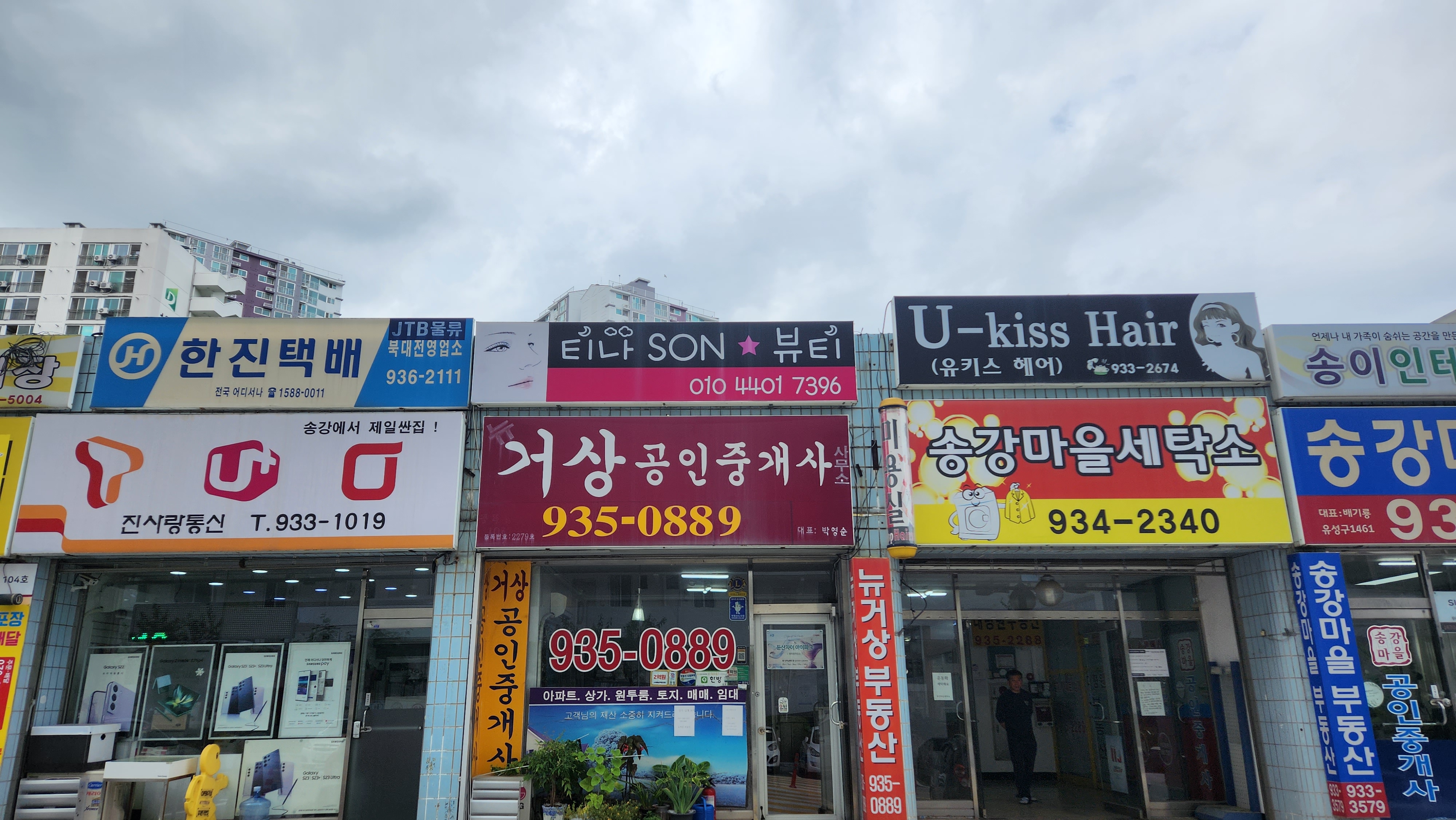 티나son뷰티 대표 이미지