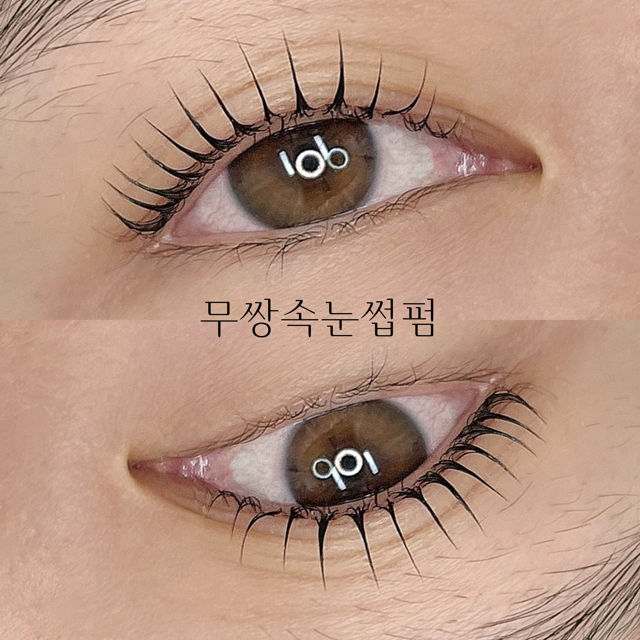 벨르제이