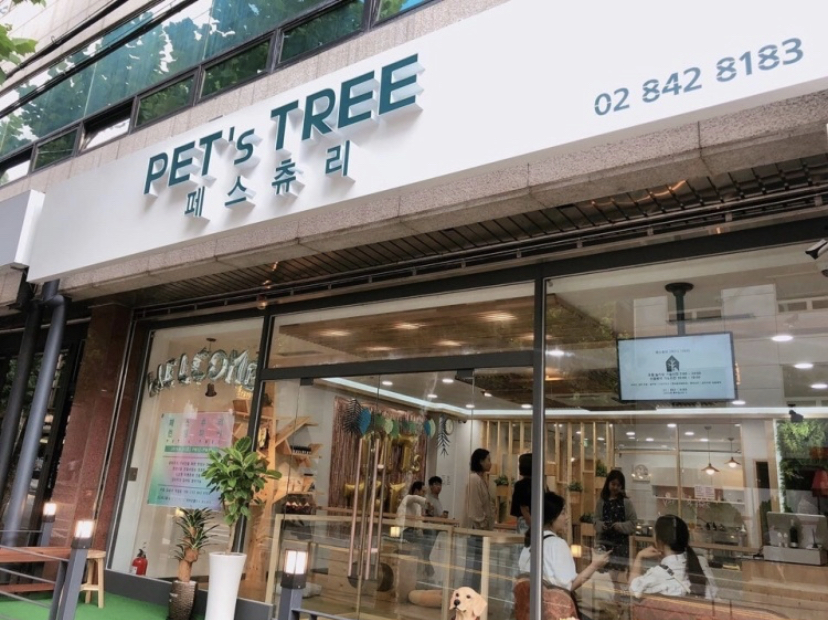 페스츄리펫살롱 화이트역삼점 내부 또는 관련 모습