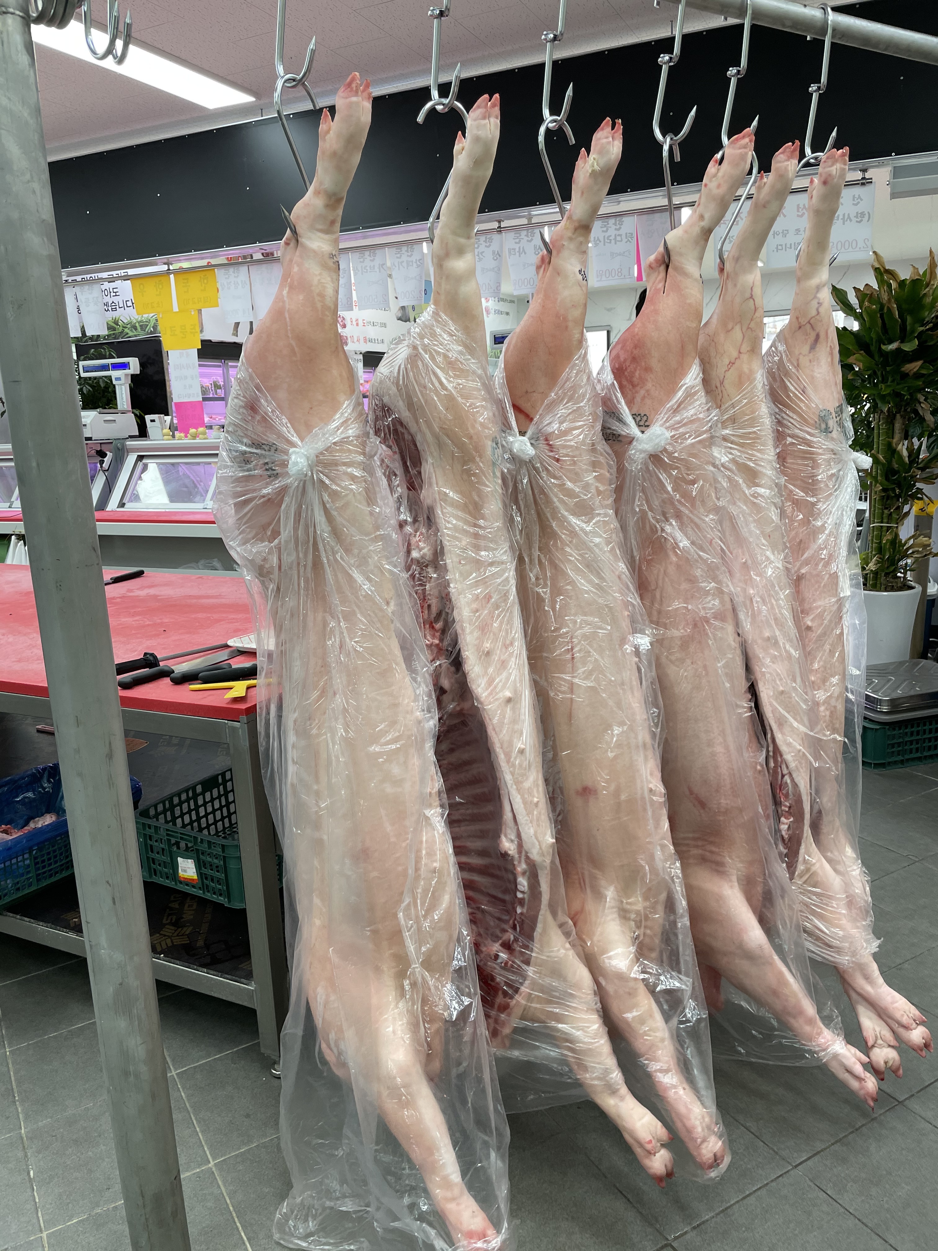 백두축산물직판장