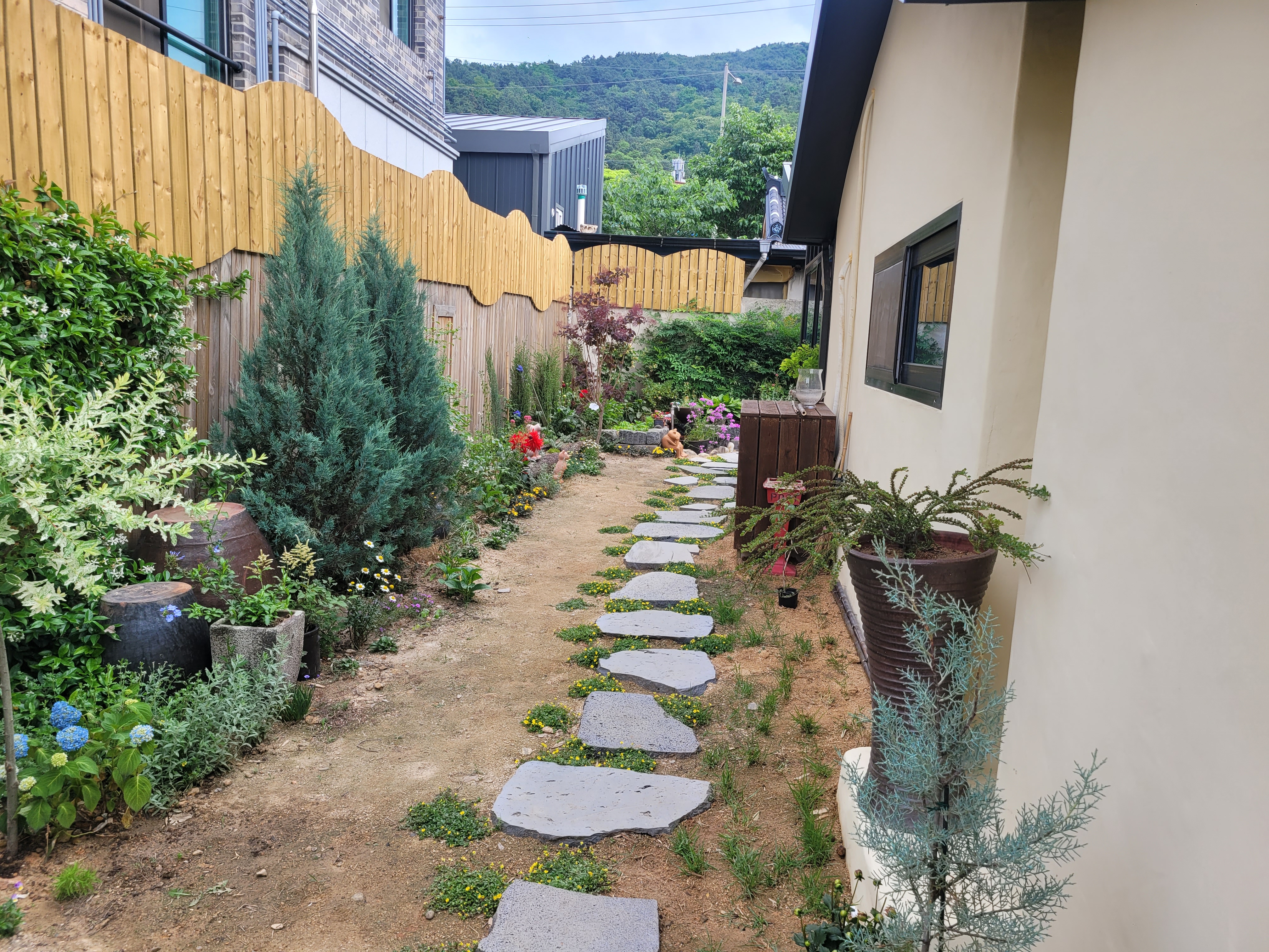 타샤의정원