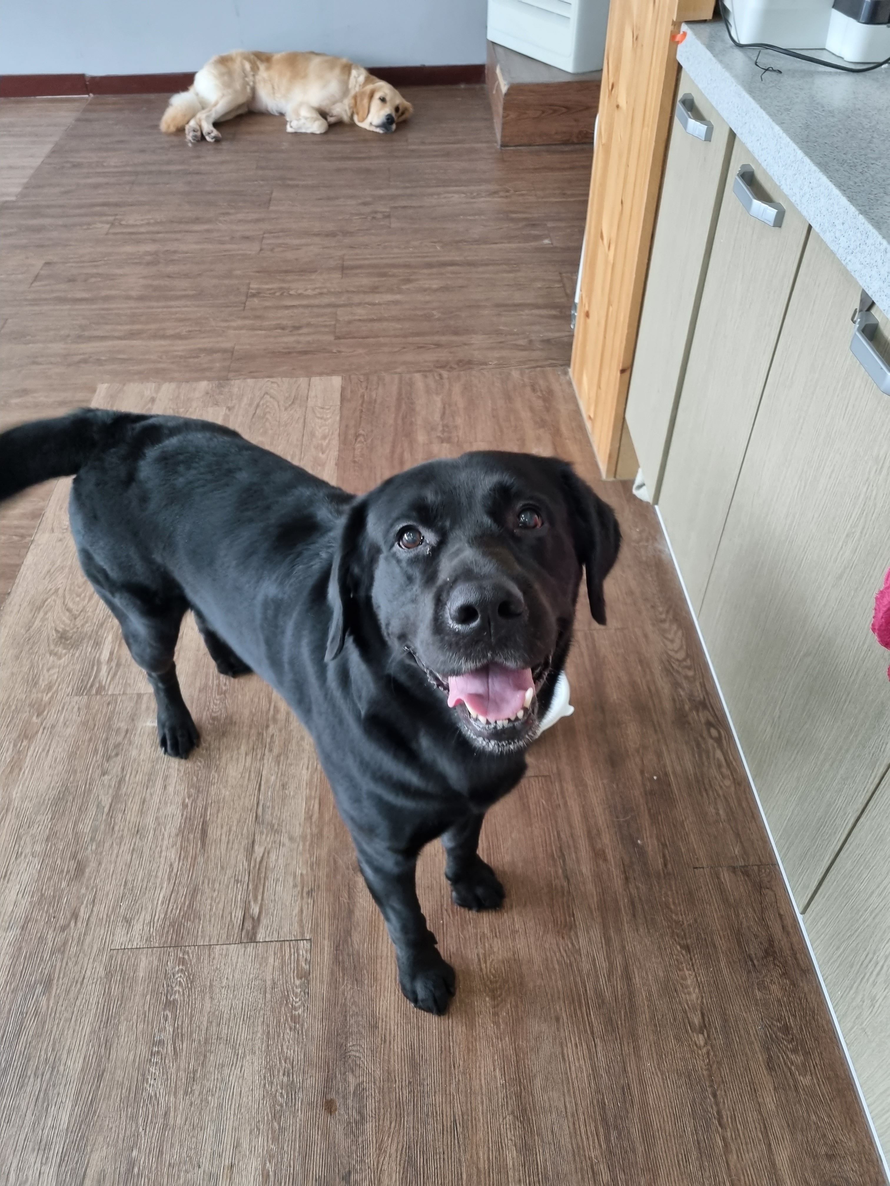 유채네 유치원 대표 이미지