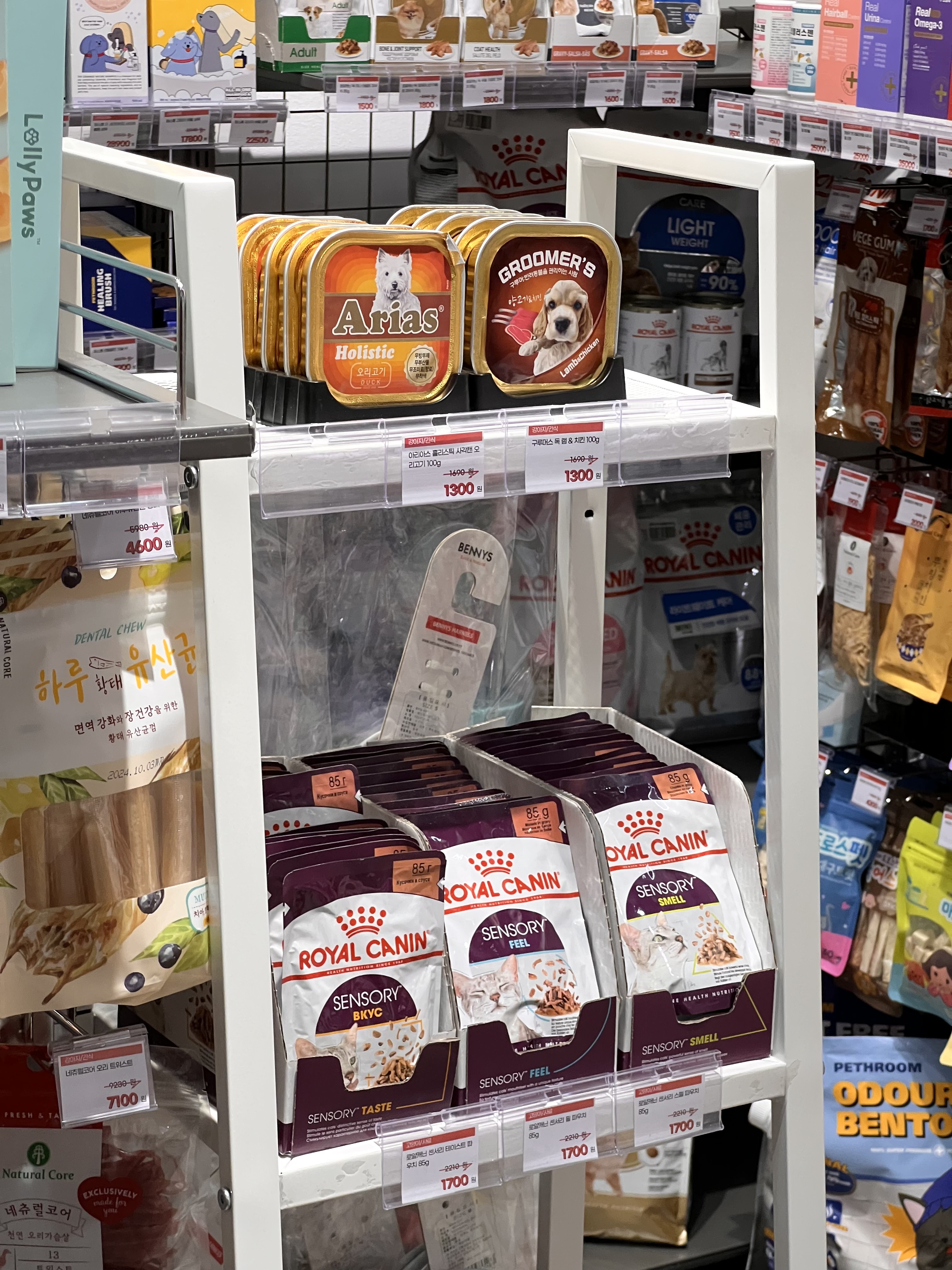 멍냥클럽 대표 이미지