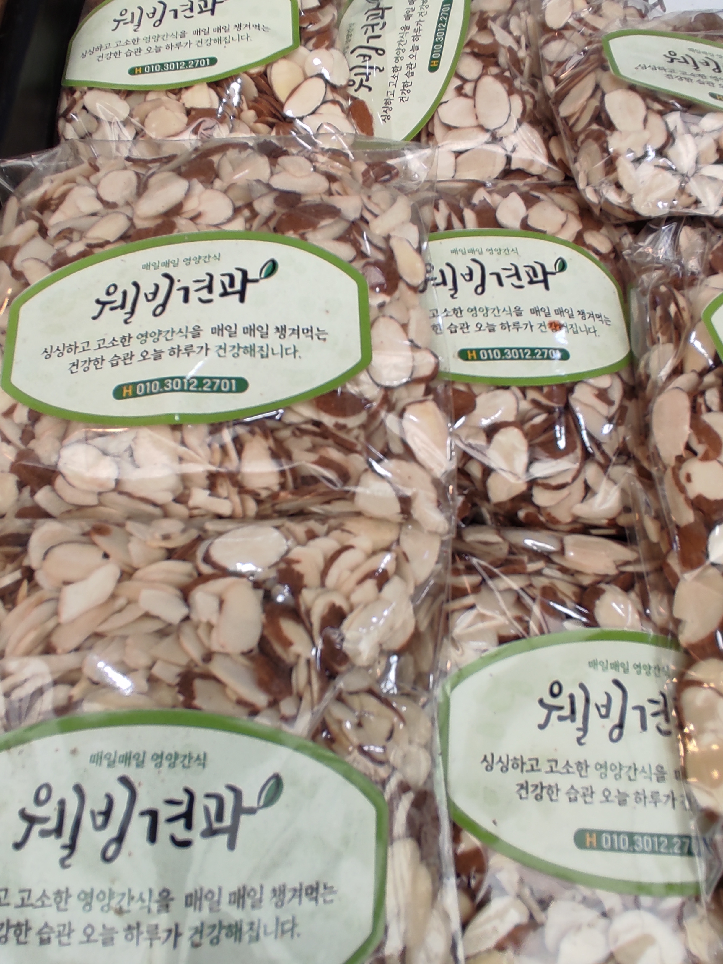 웰빙견과