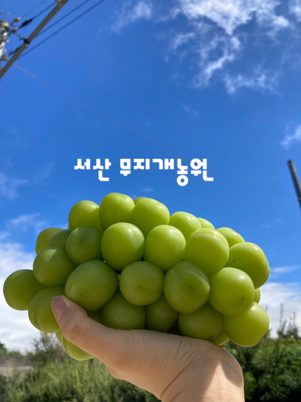 무지개농원