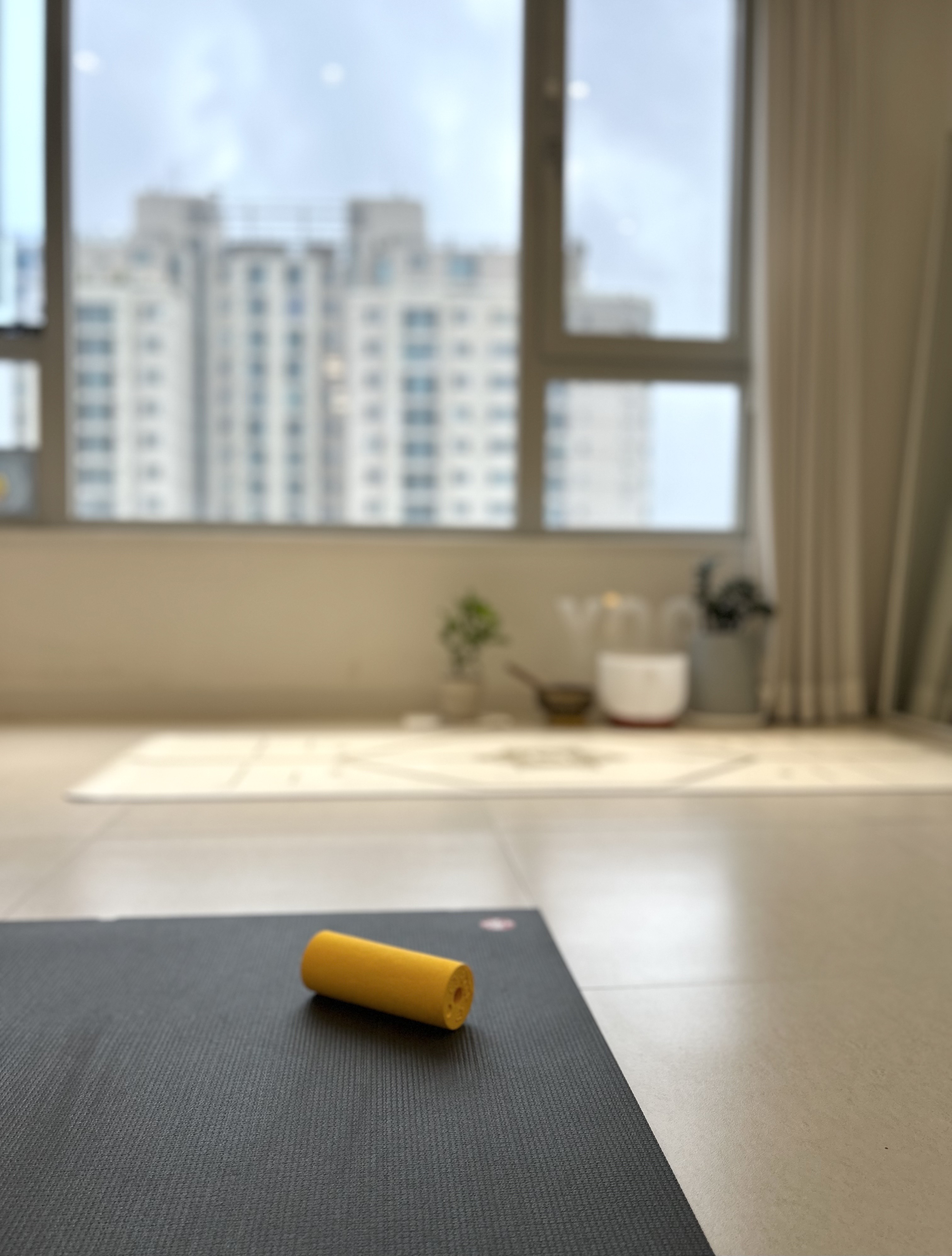 조이요가스튜디오 대표 이미지