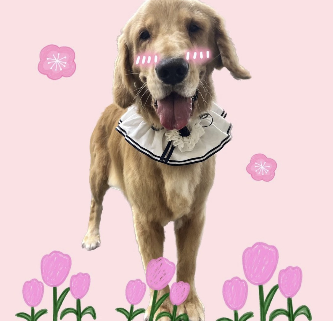 멍라이프 본점 대표 이미지