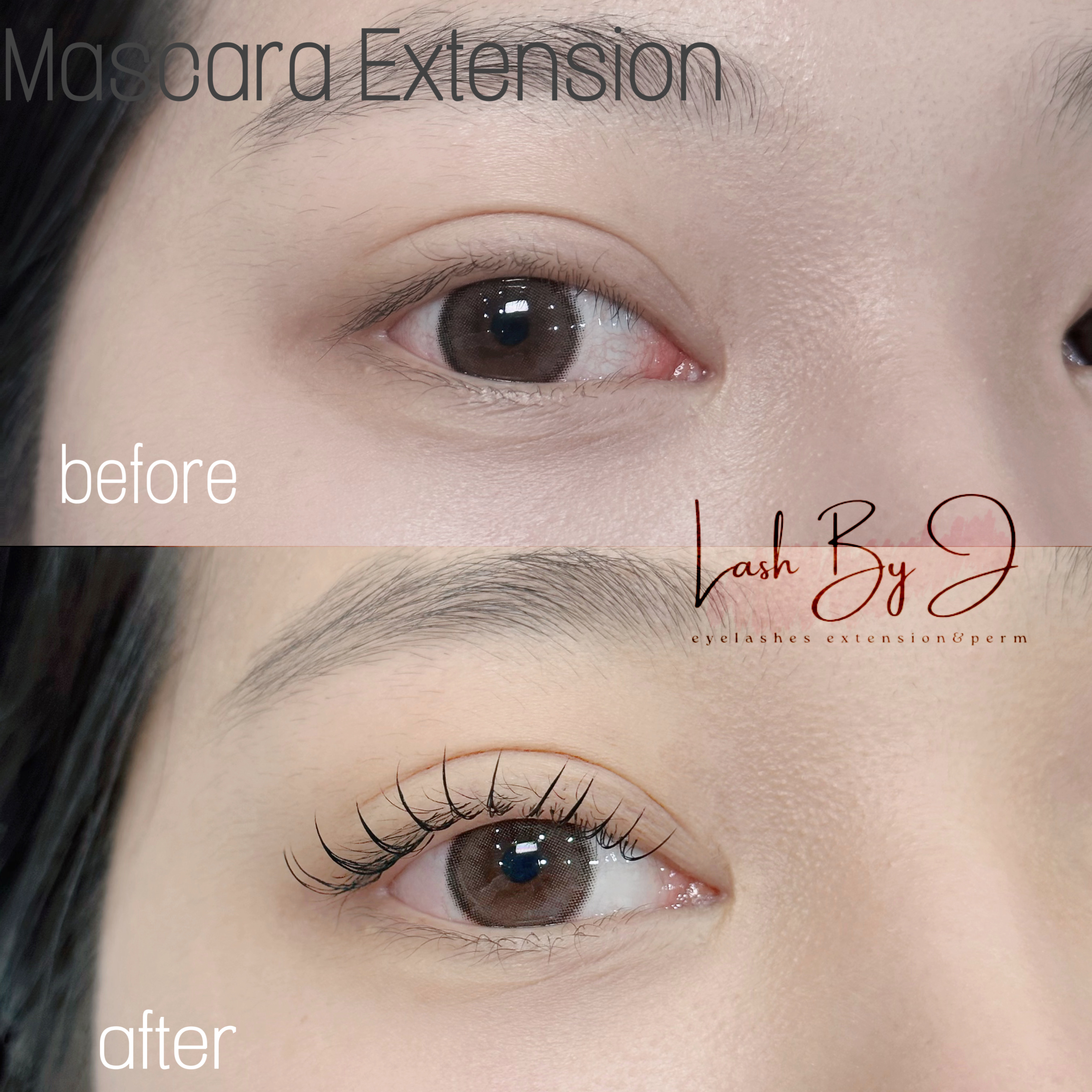 래쉬바이제이 대표 이미지