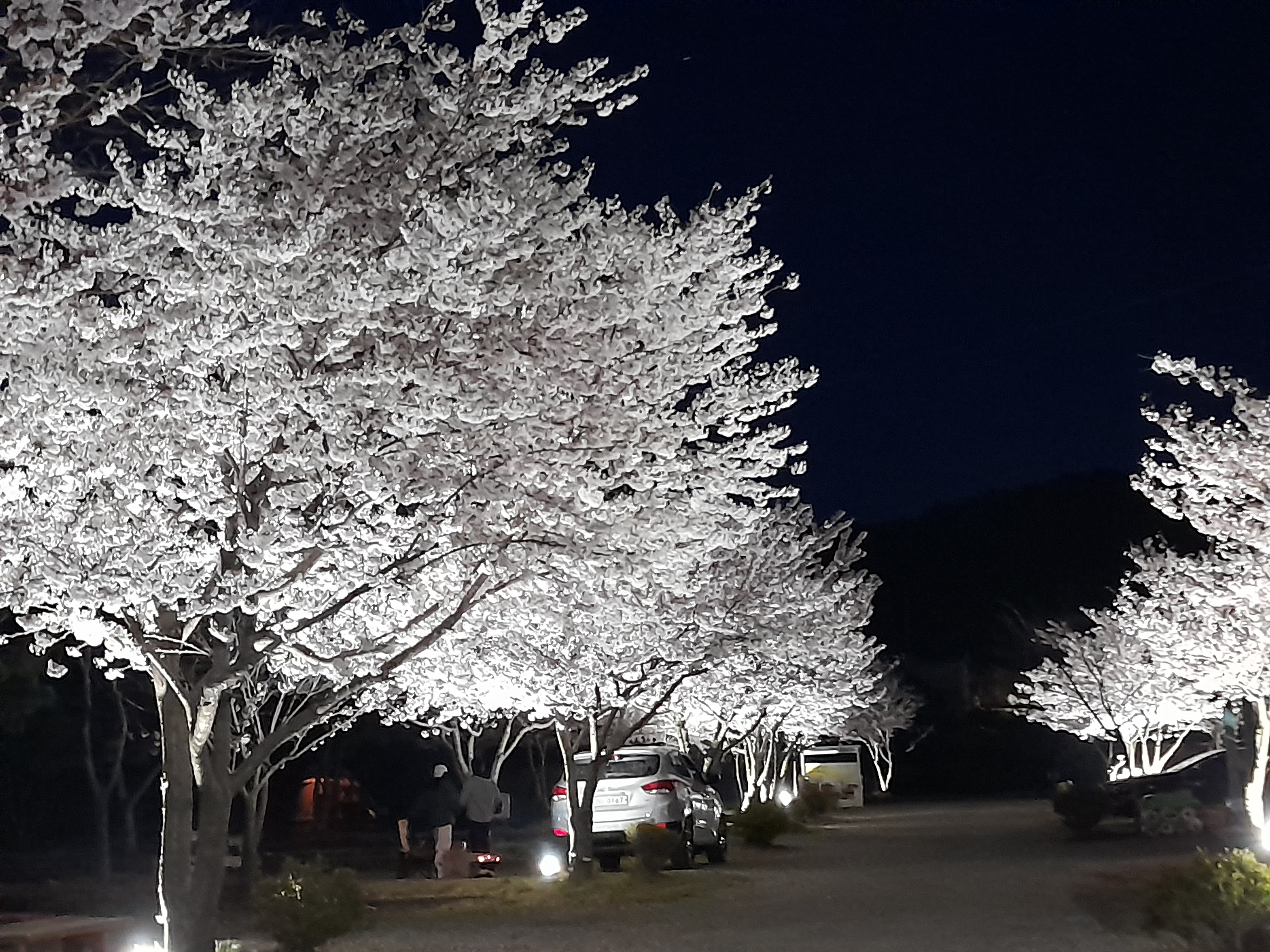 농어바위캠핑장