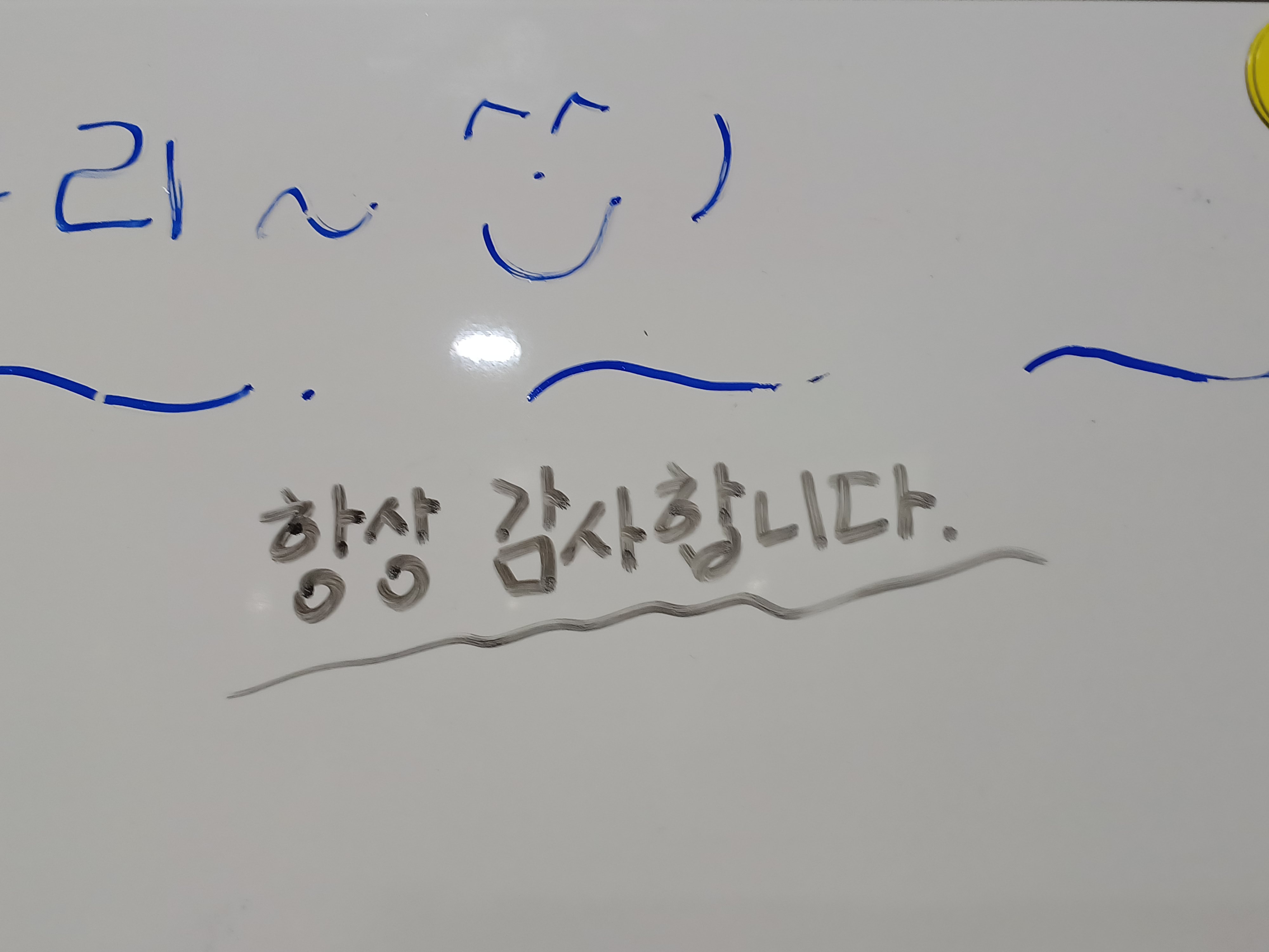 업체사진