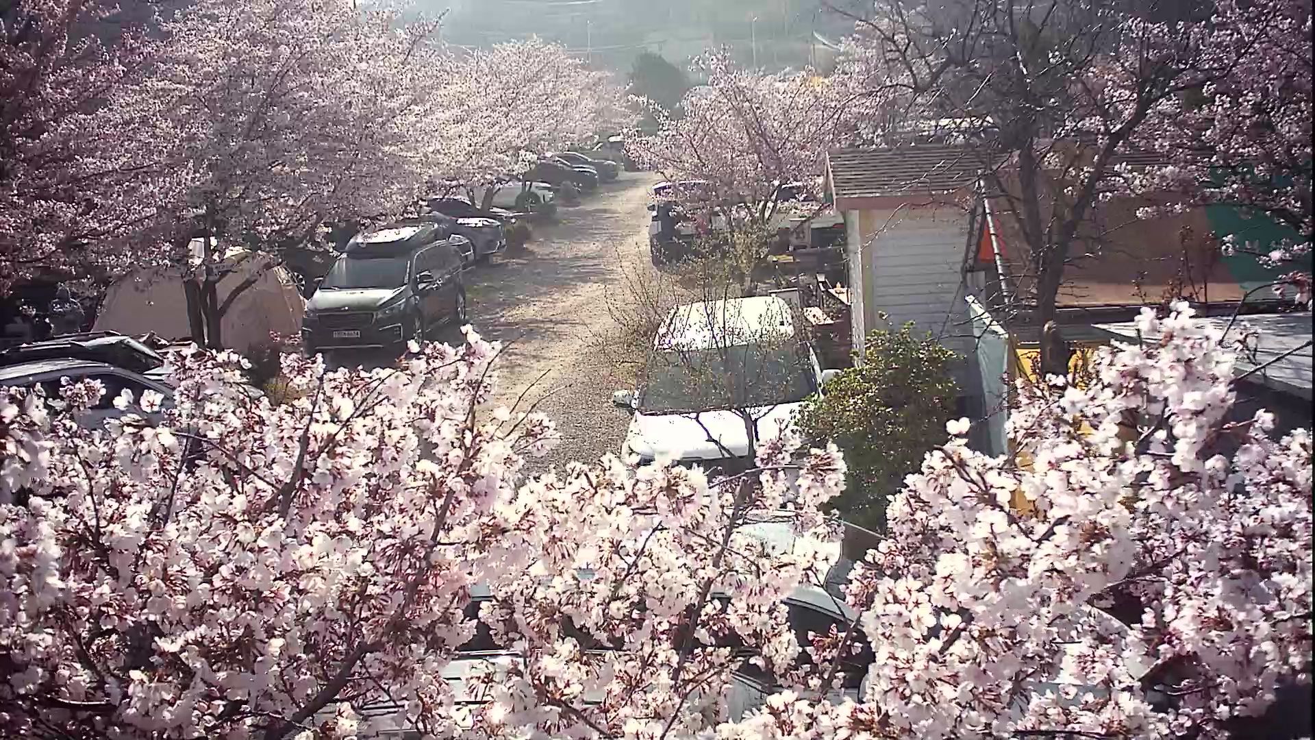 농어바위캠핑장
