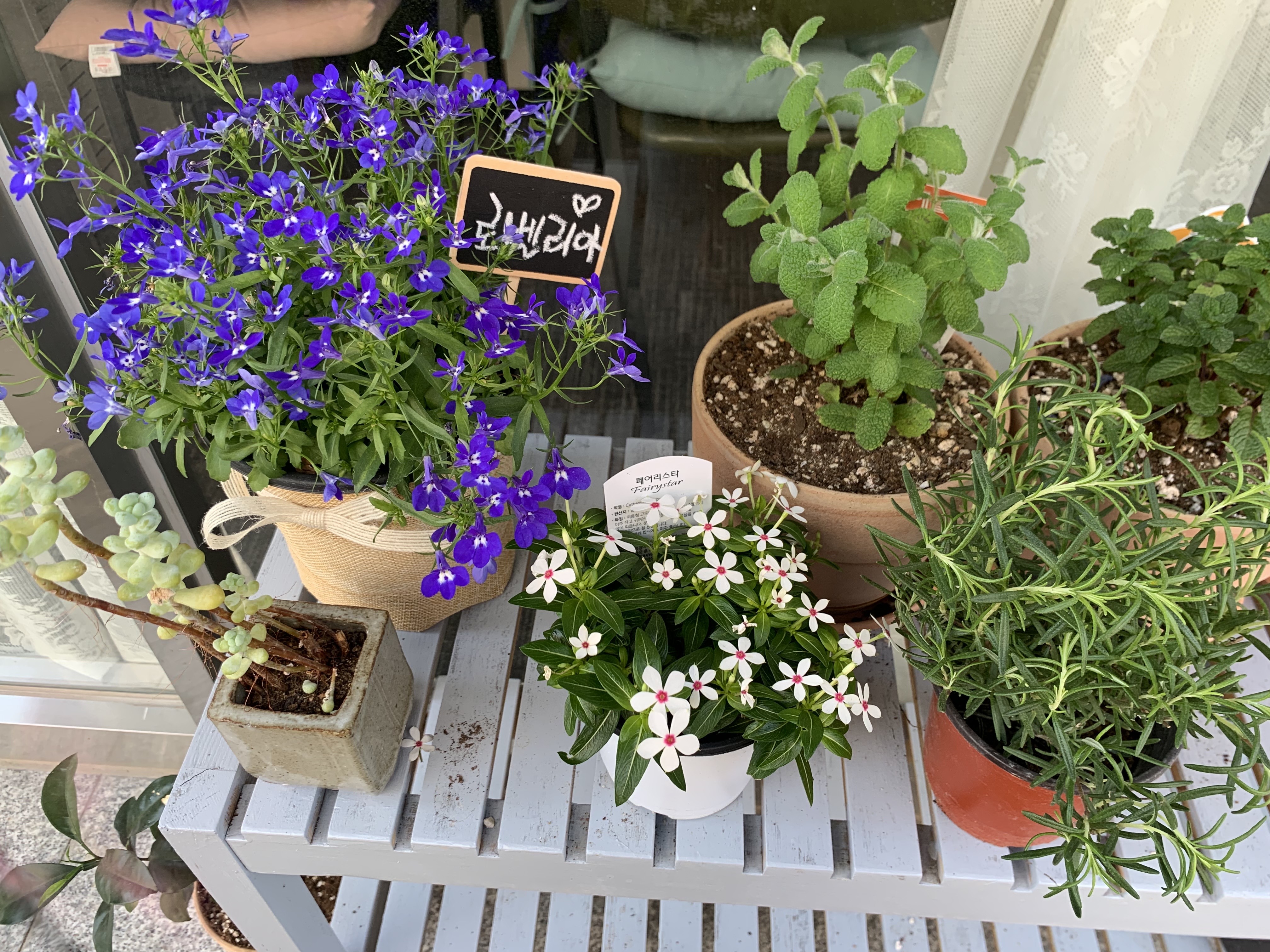 제니에스테틱 라운지 대표 이미지