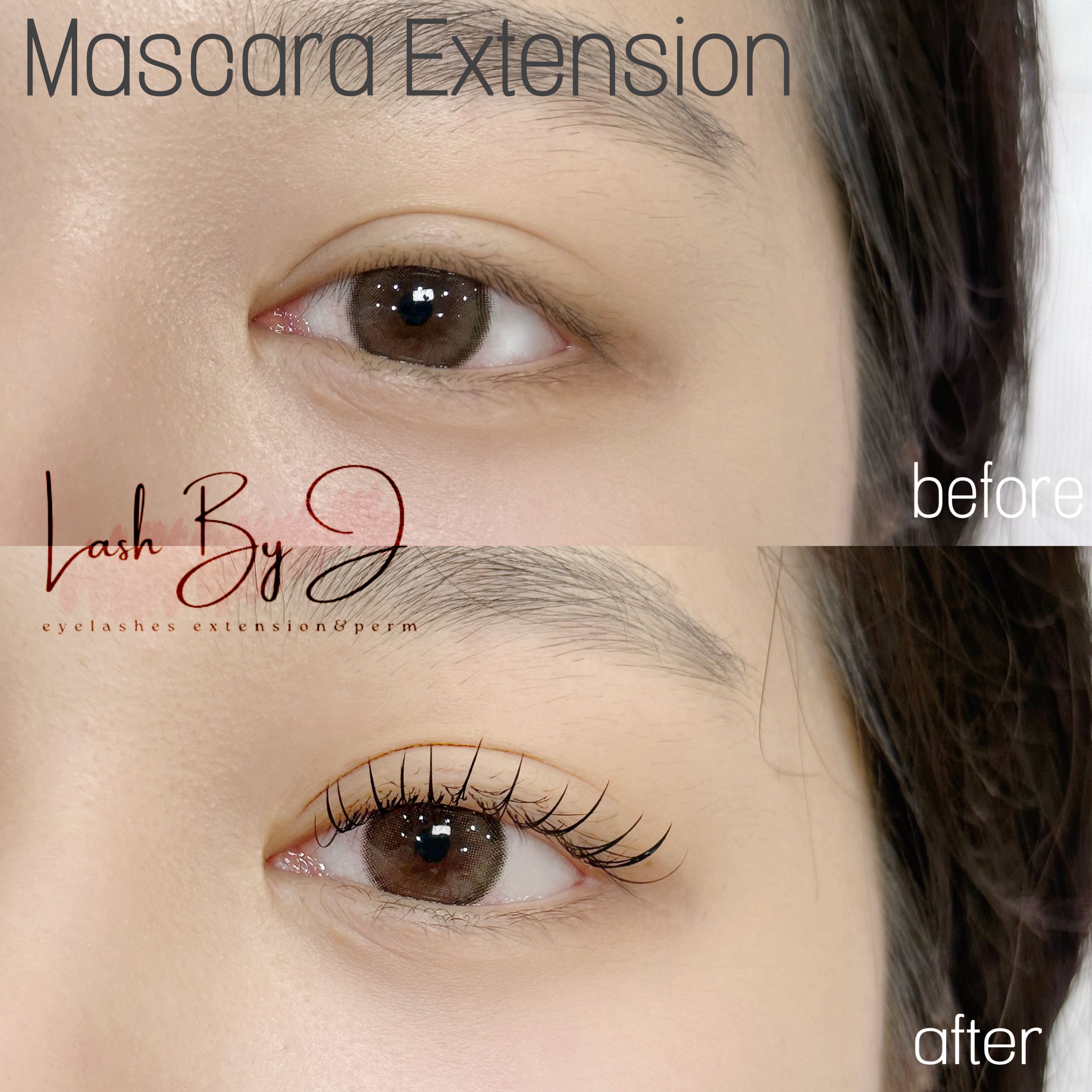 래쉬바이제이 대표 이미지