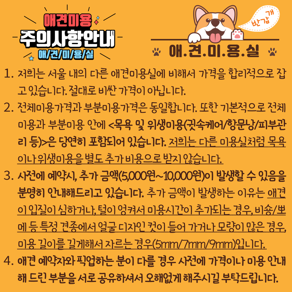 은평구 역촌동 애견미용실 대표 이미지
