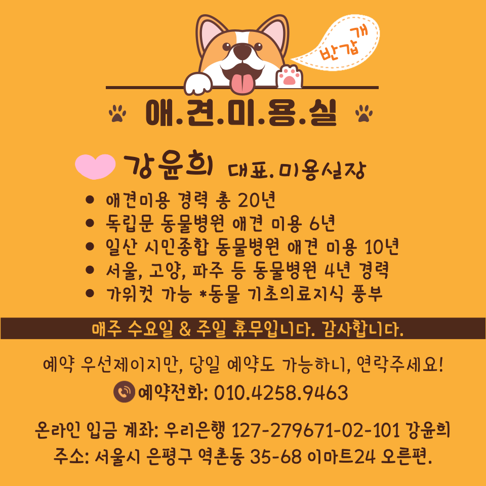 애견미용실 대표 이미지