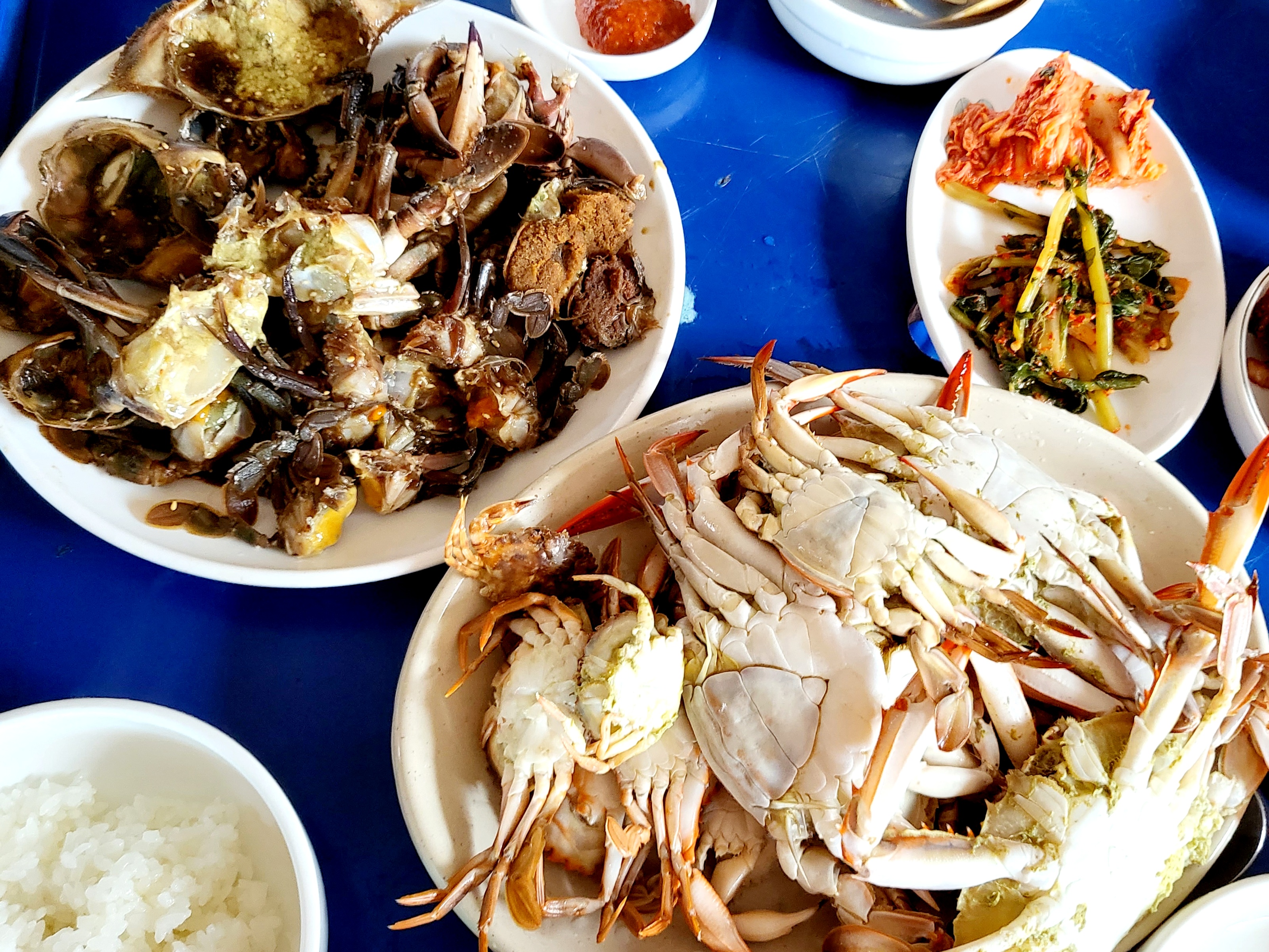 신진수산