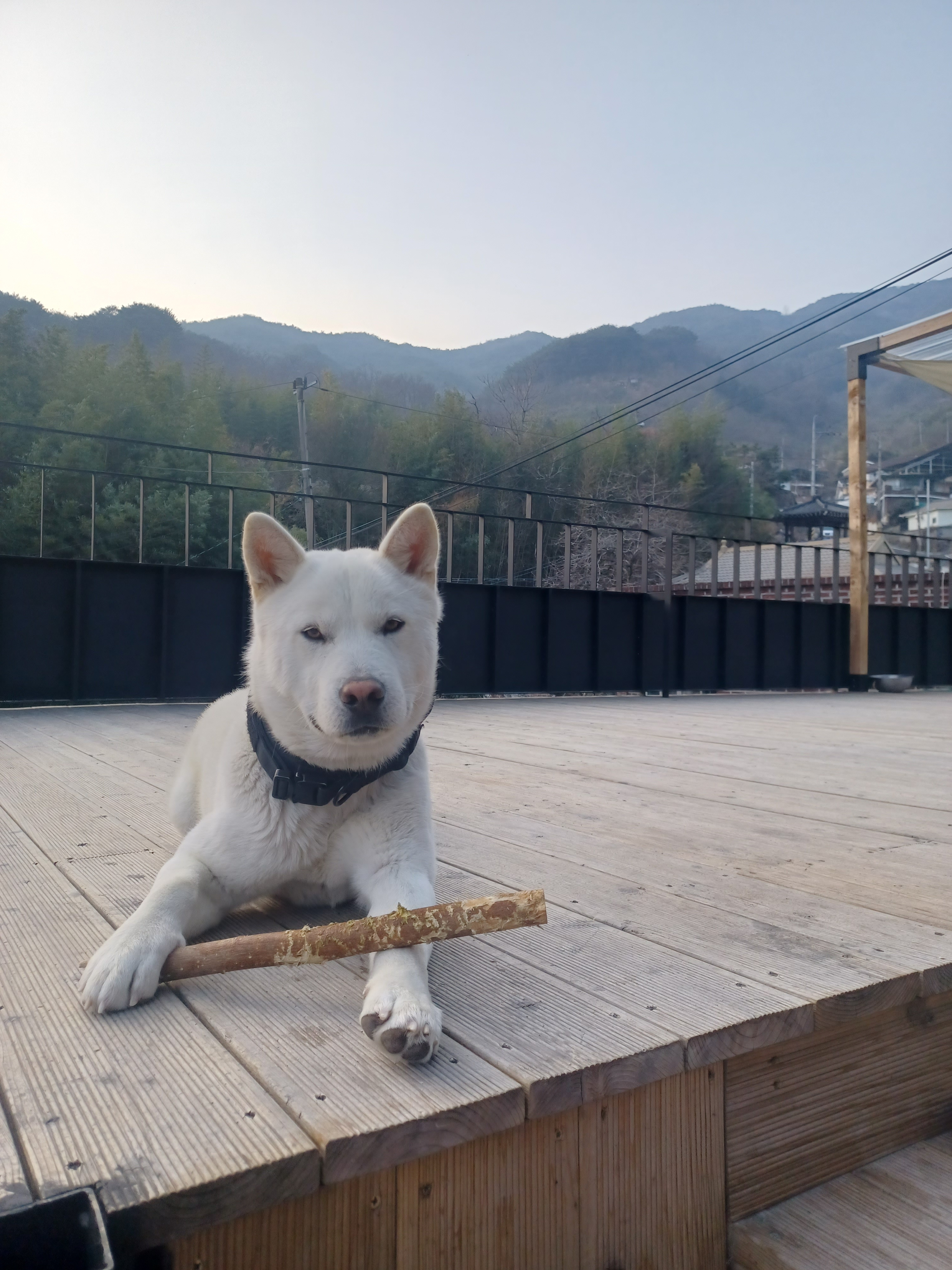 찻집 정원