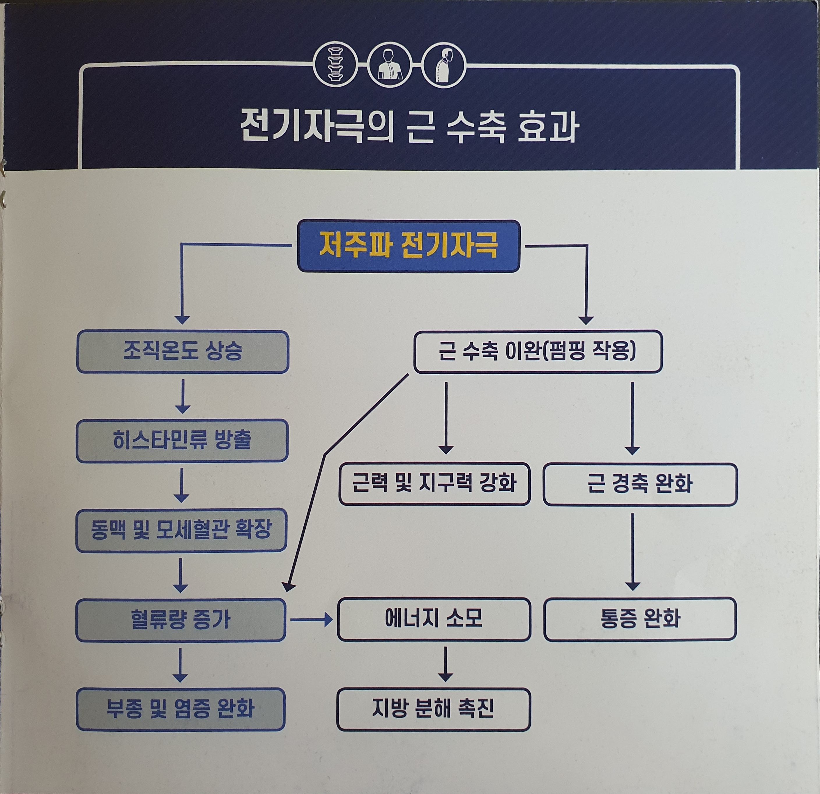 바디지음청연 photo 3