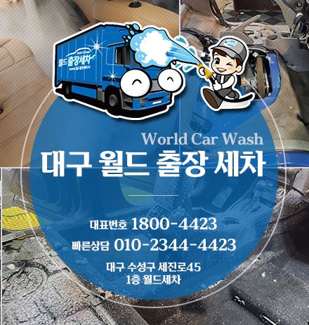 월드출장세차
