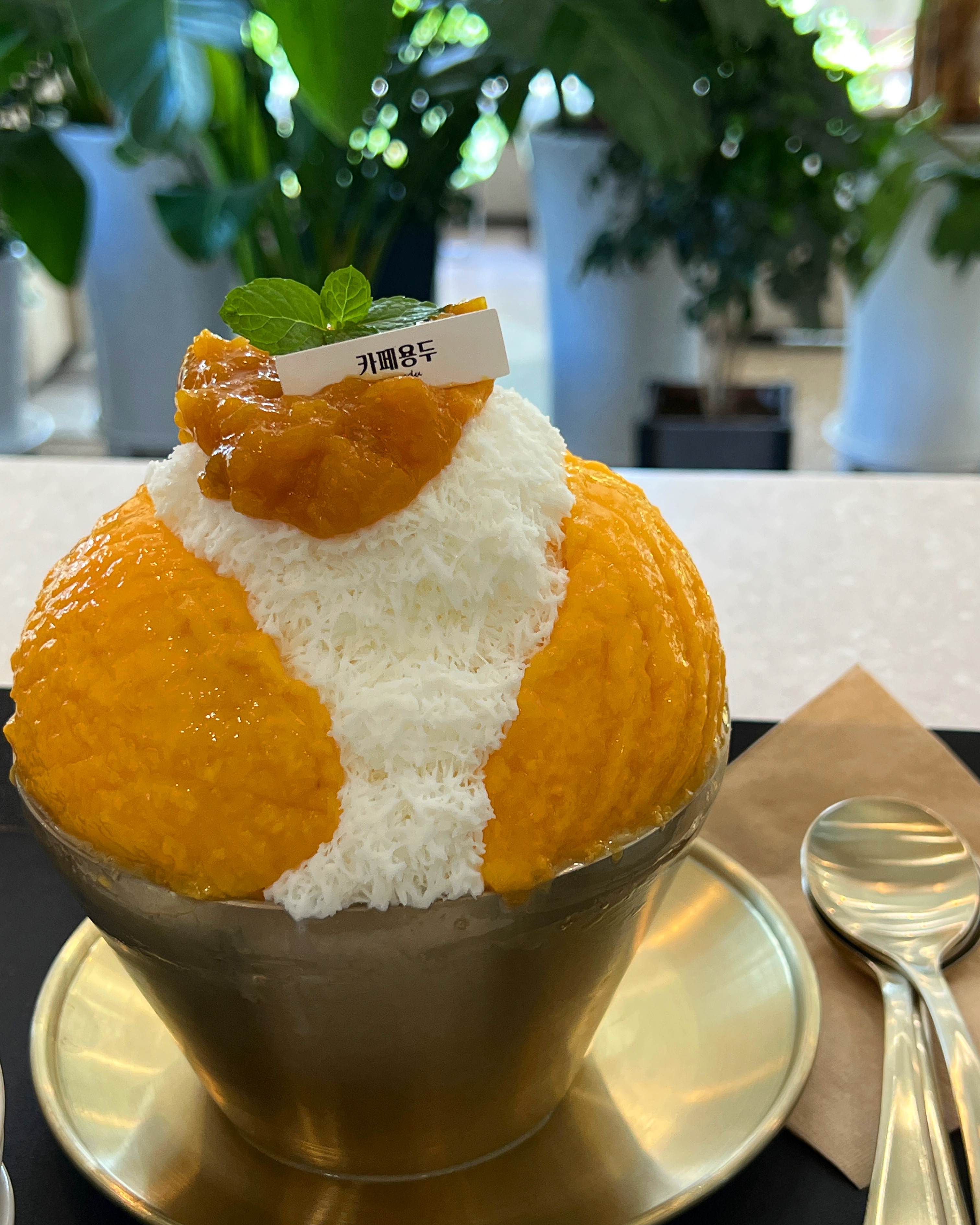 카페용두 3