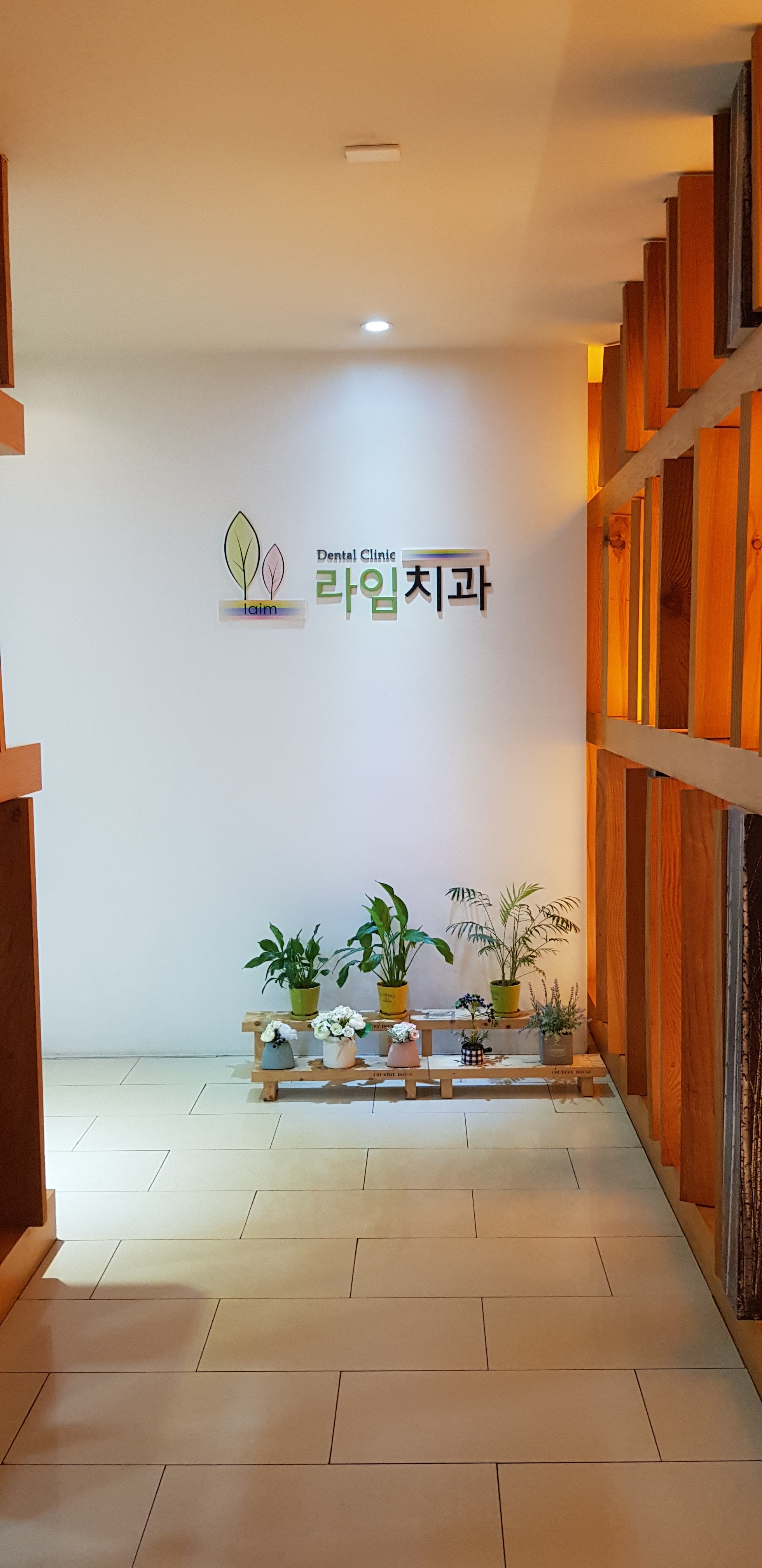 라임치과의원 대표 이미지