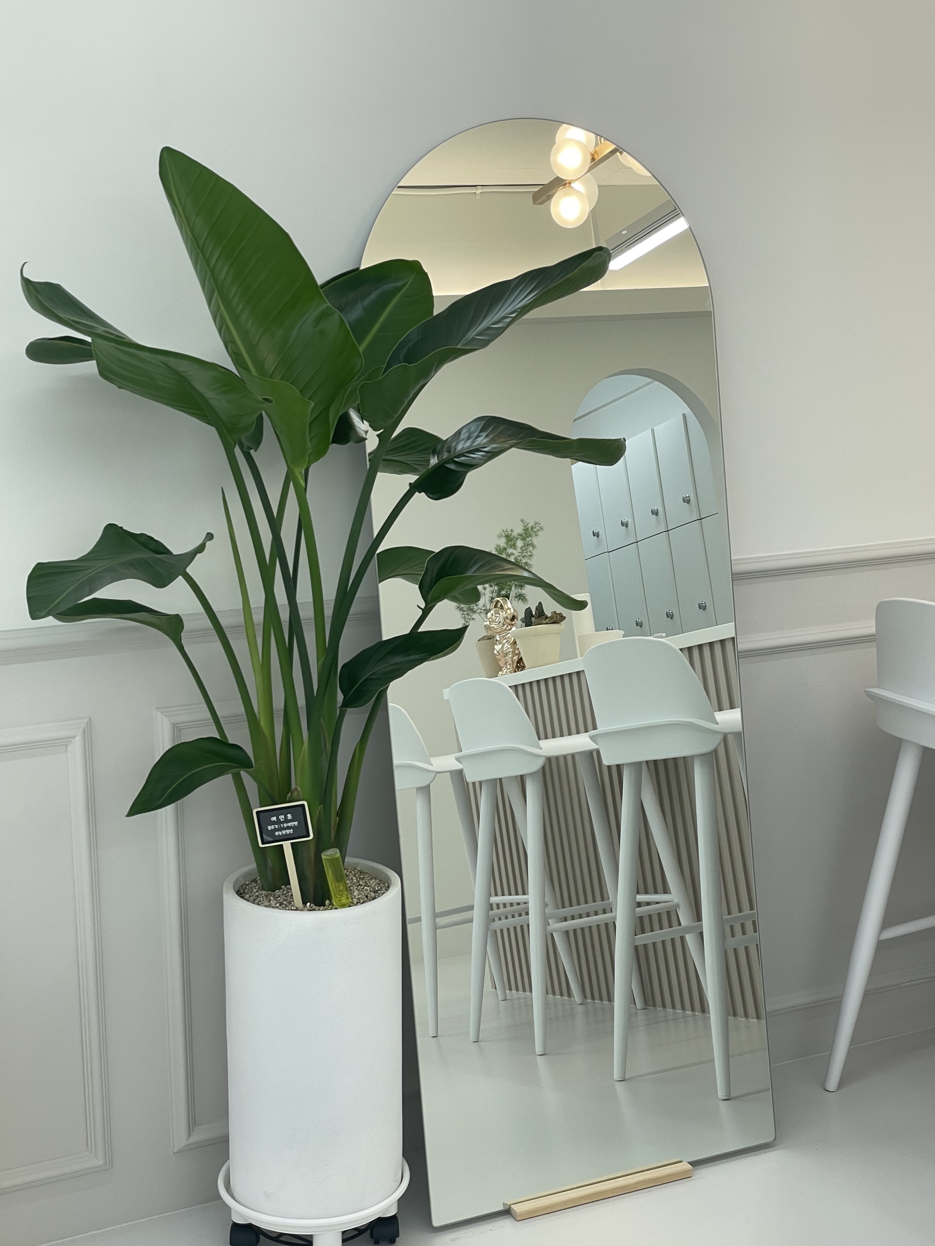 드뮤 잉글리쉬아트랩 대표 이미지