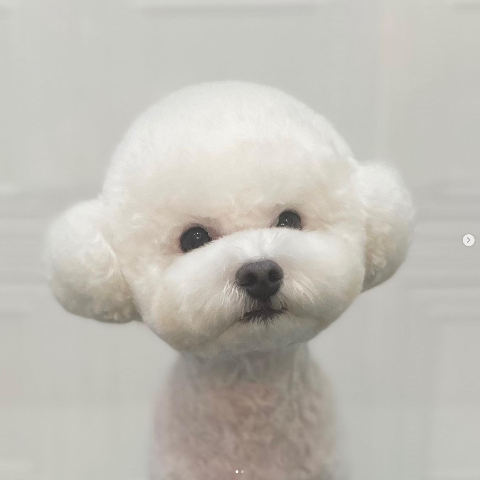 웅살롱 대표 이미지